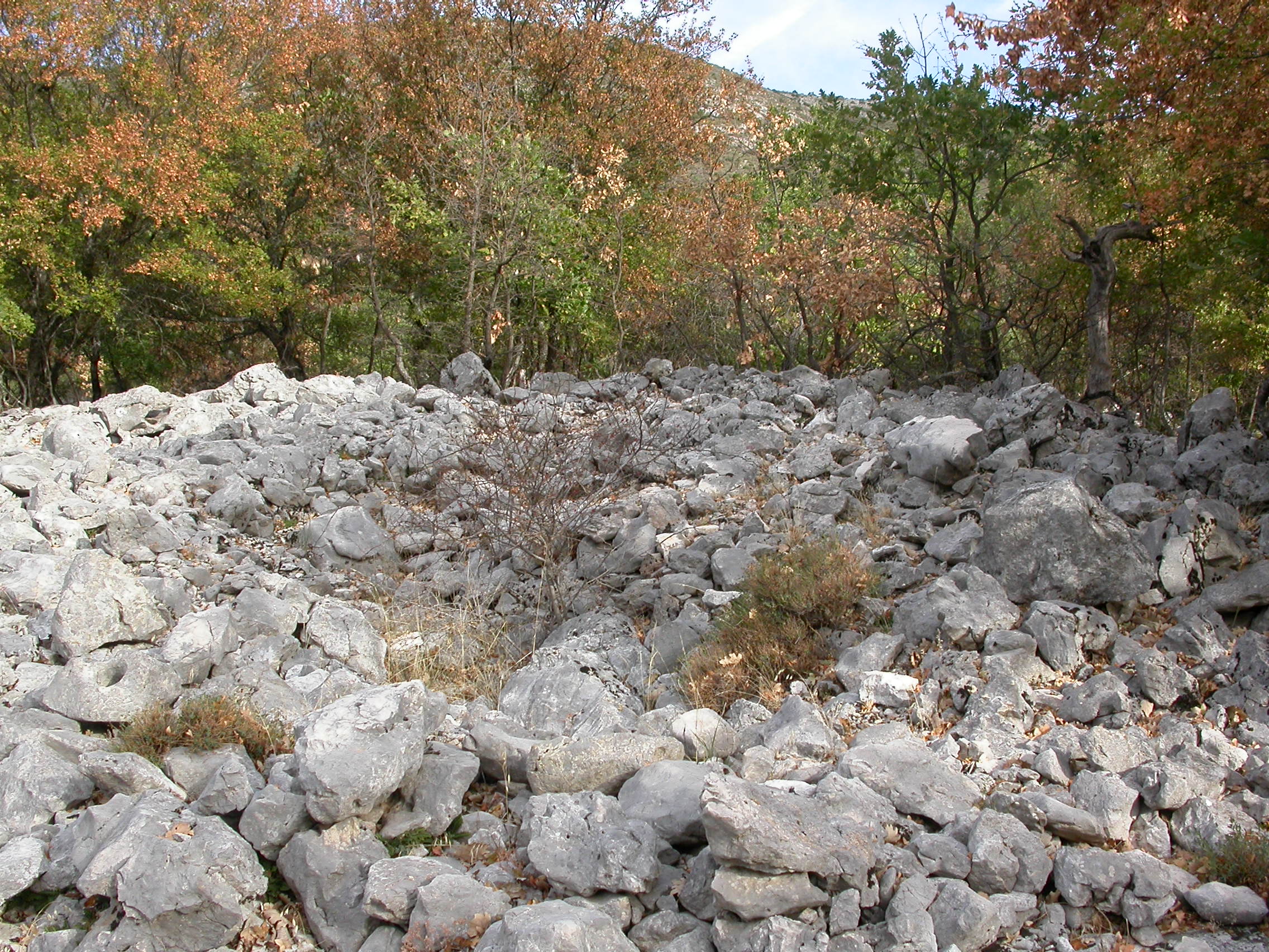Mons Tumulus St-Marcellin