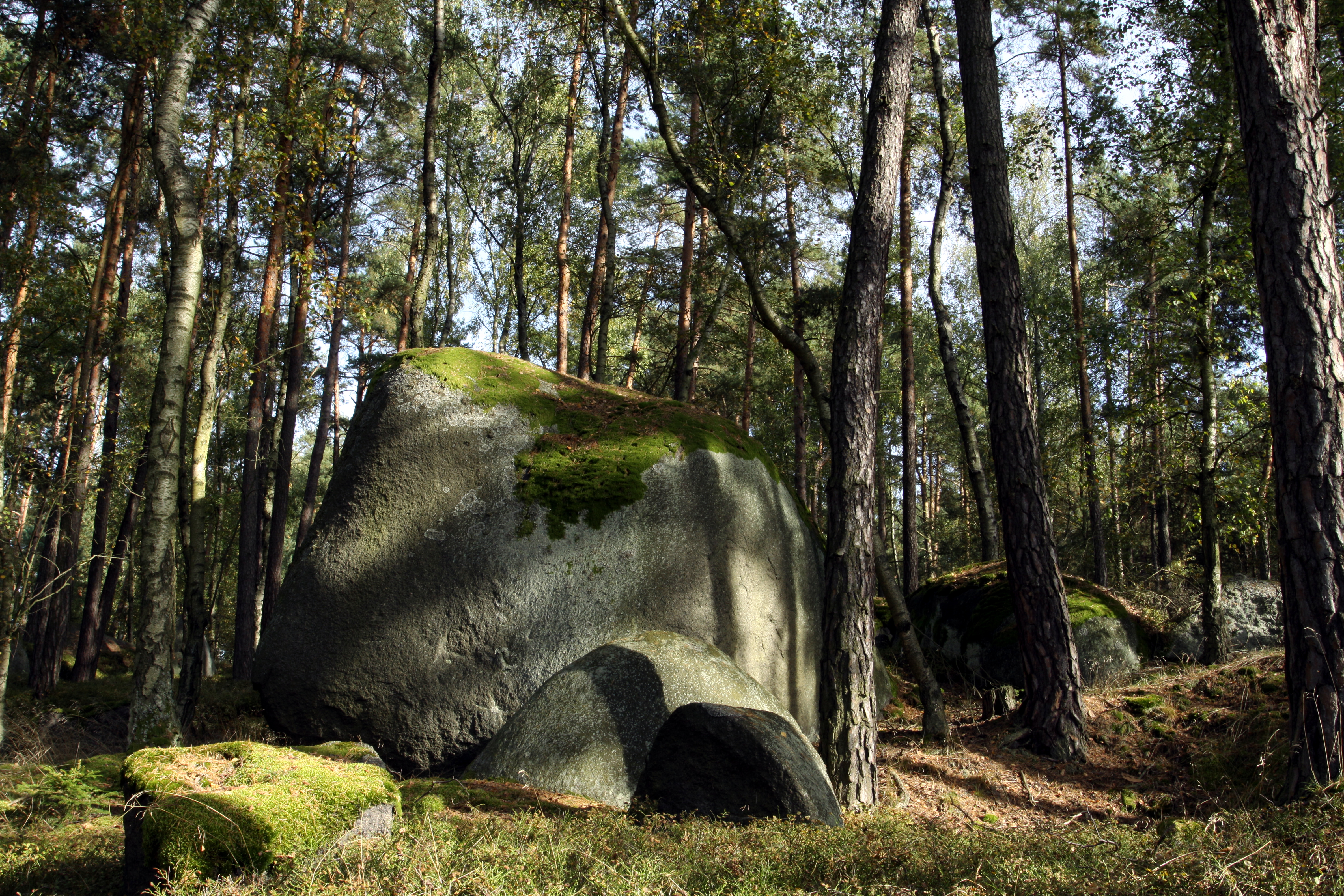 Natural monument Krtské skály in 2014 (11)