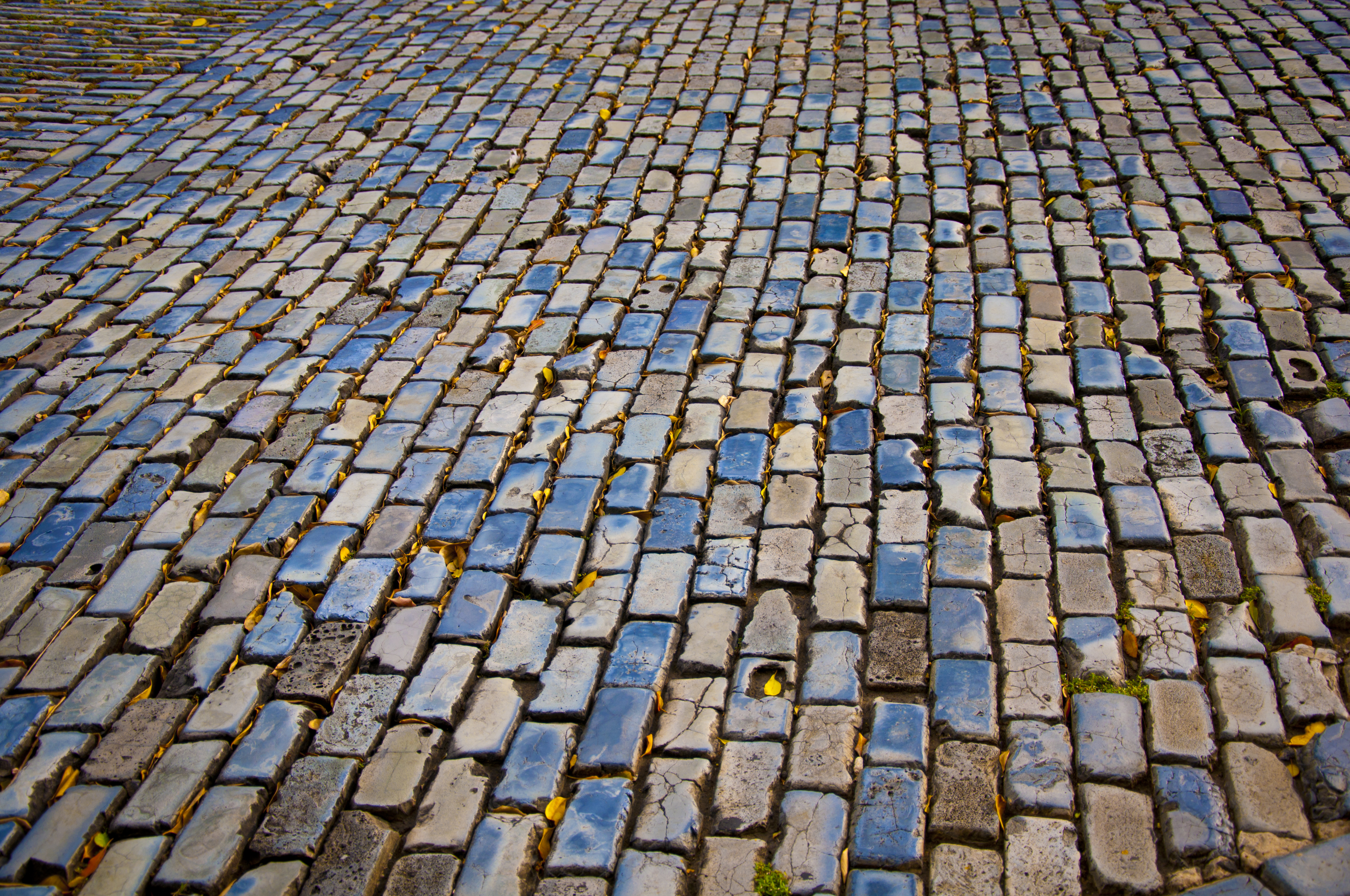 Old San Juan's Blue Brick Roads I