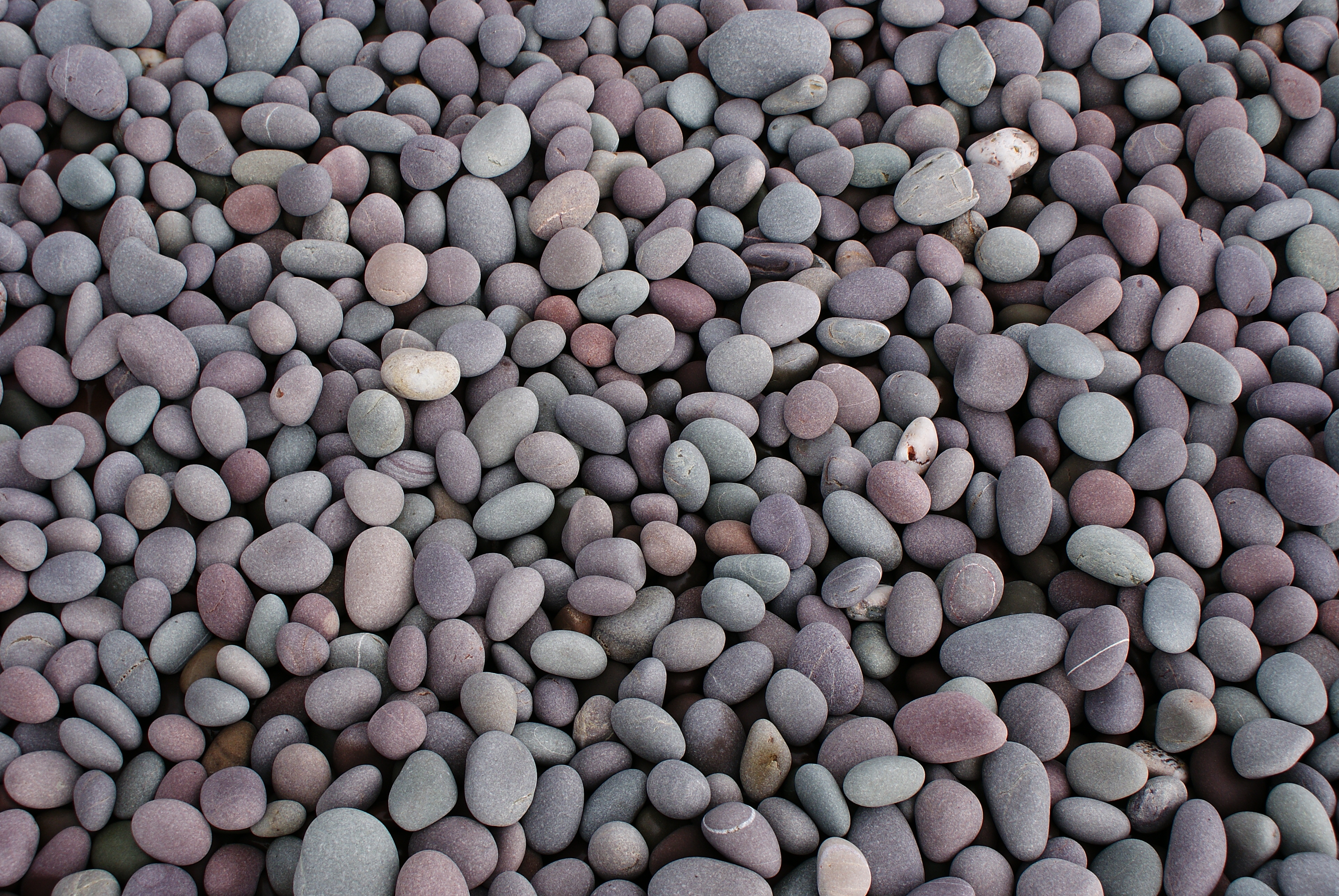 Pebbleswithquarzite