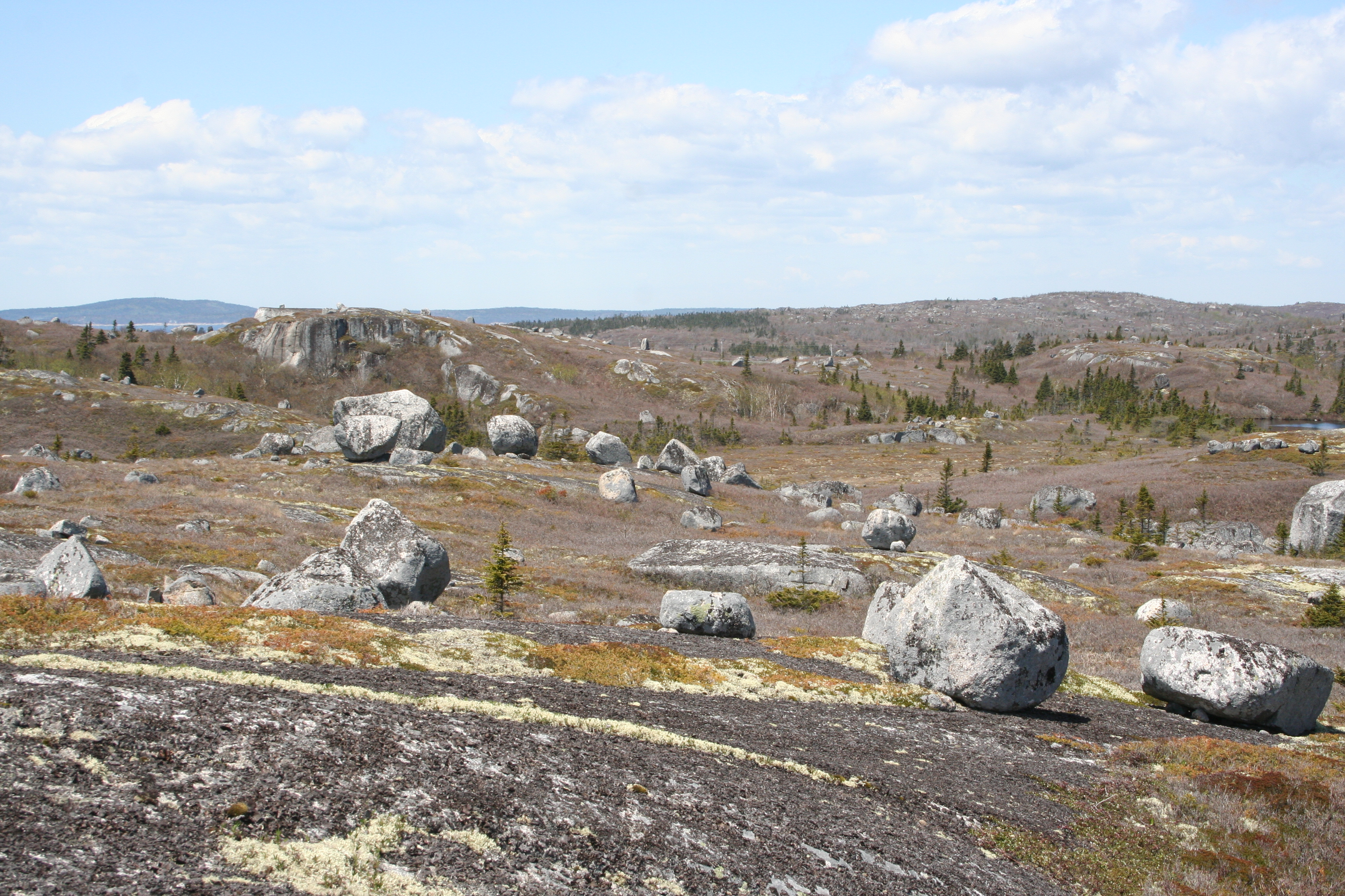 PeggysCove erratics