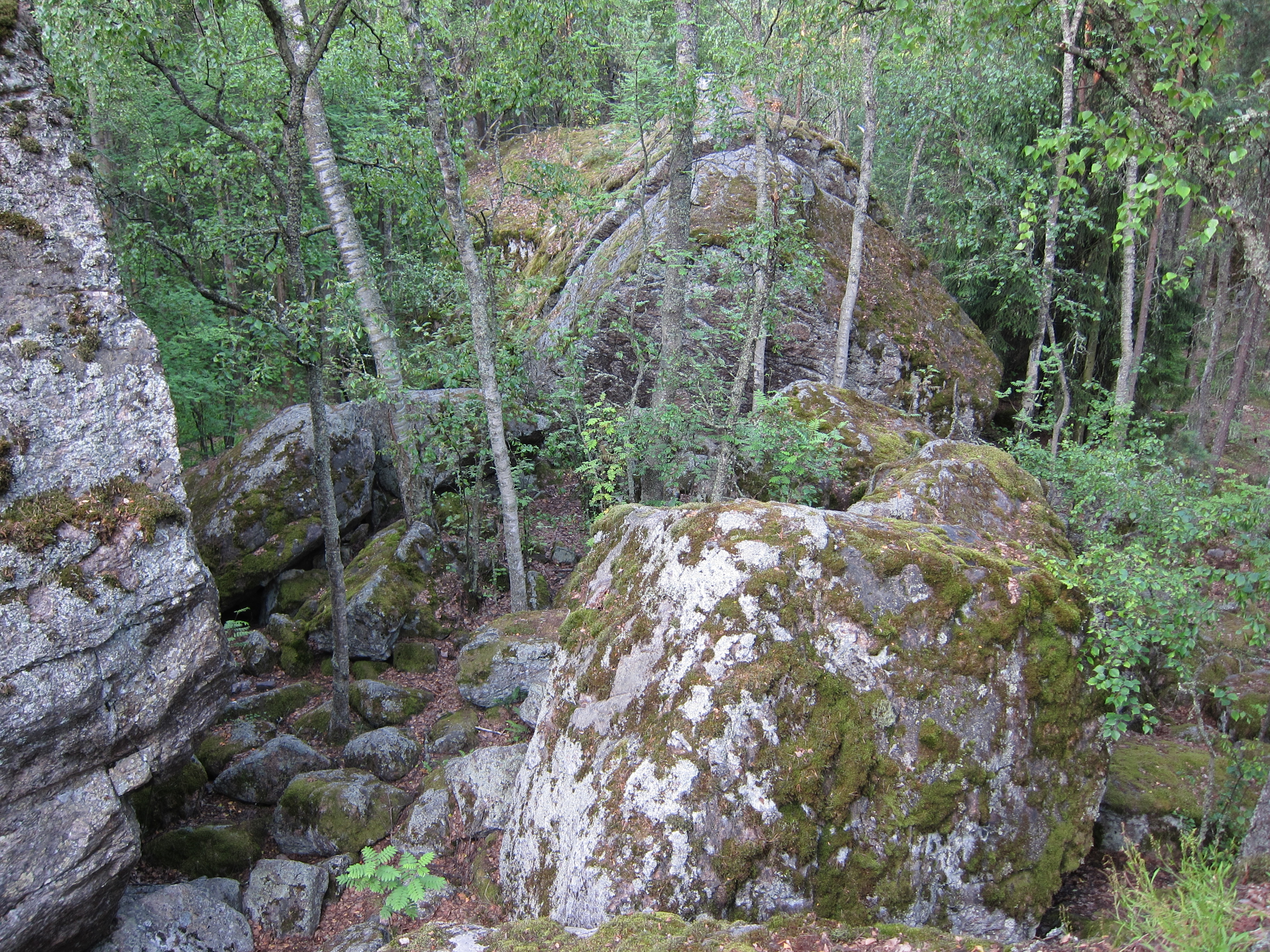 Pirunpesä, Lentokentän kaupunginosa, Turku, 11.7.2010 (10)