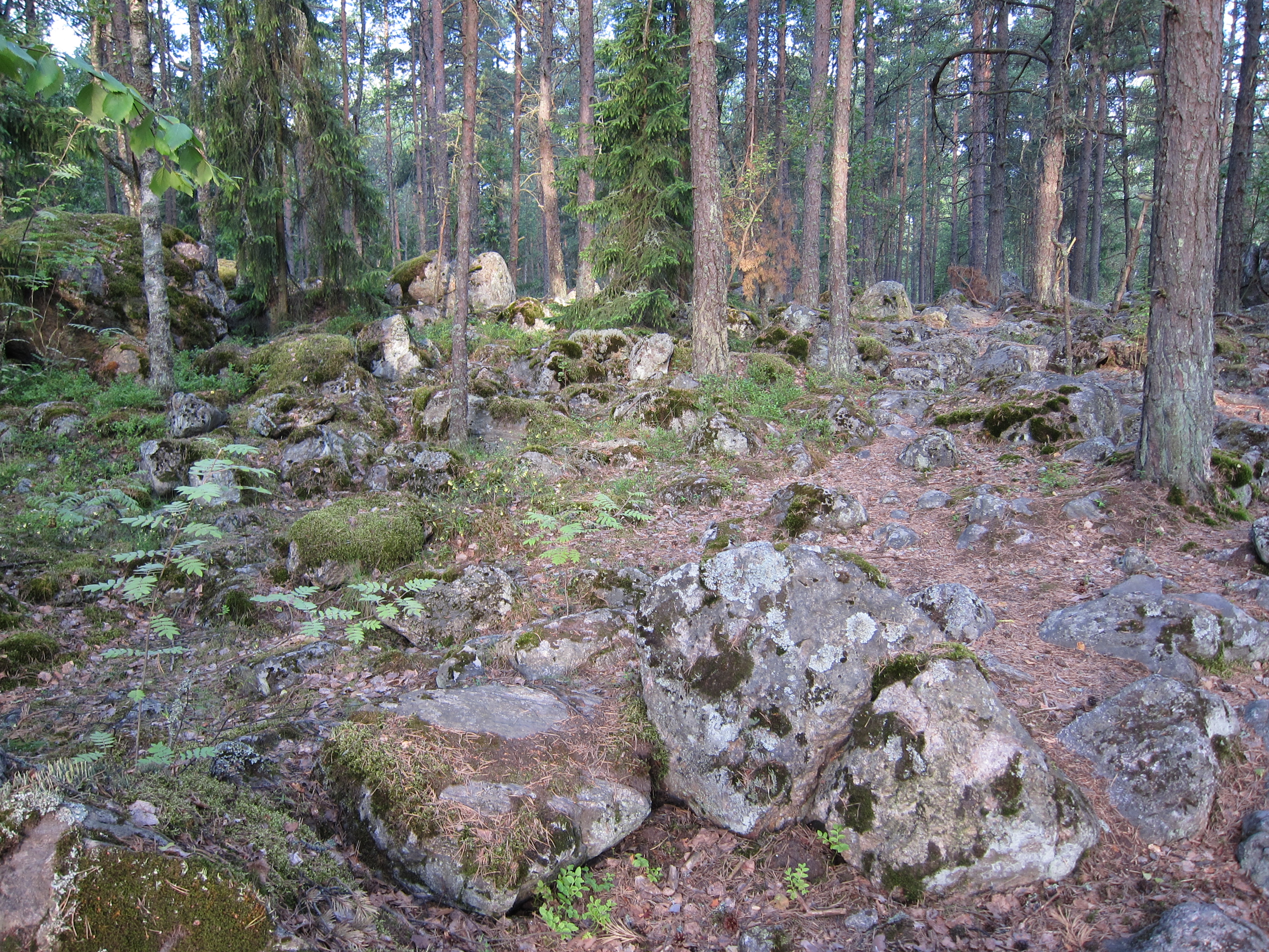 Pirunpesä, Lentokentän kaupunginosa, Turku, 11.7.2010 (5)