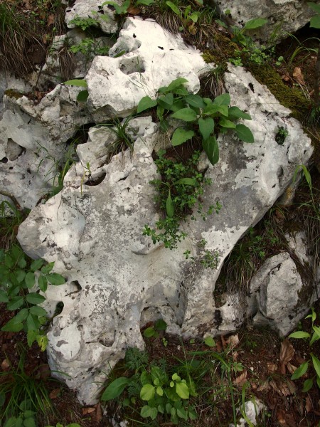 20130608 Plitvice Lakes National Park 248