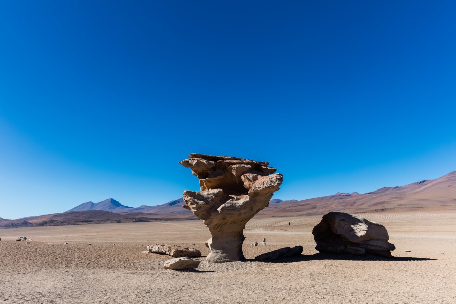 Árbol de Piedra, Desierto de Siloli, Bolivia, 2016-02-03, DD 01