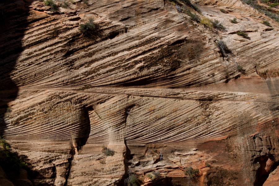 Cross-bedded Sandstone Angel's Landing Trail Zion Utah USA
