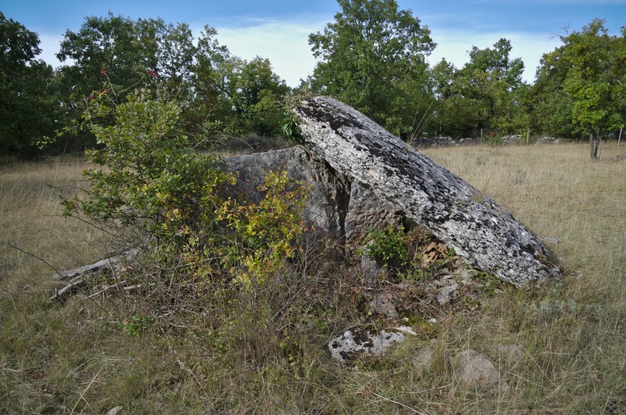 Dolmen de Dirau - 20140922 3