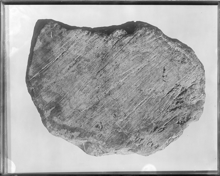 Glaciated boulder from Norway, Iowa (Benton County). Old No. 365. Negative destroyed by authority of Administrative... - NARA - 517786