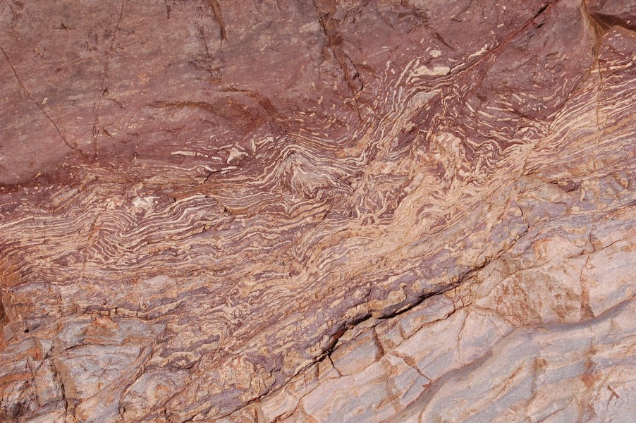 Grand Canyon Supergroup Stromatolites in Bass Limestone 0020 - Flickr - Grand Canyon NPS