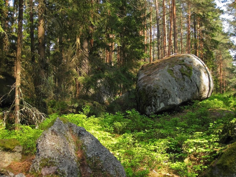 Granitrestlinge im Wald bei Neu-Nagelberg