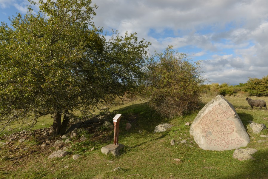 Hovgårdsstenen September 2013 02