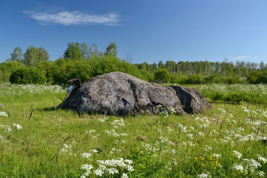 Kalevipoja lingukivi - Prossa hiidrahn