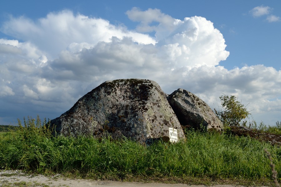 Kultusekivi Konnakõrtsi kivi