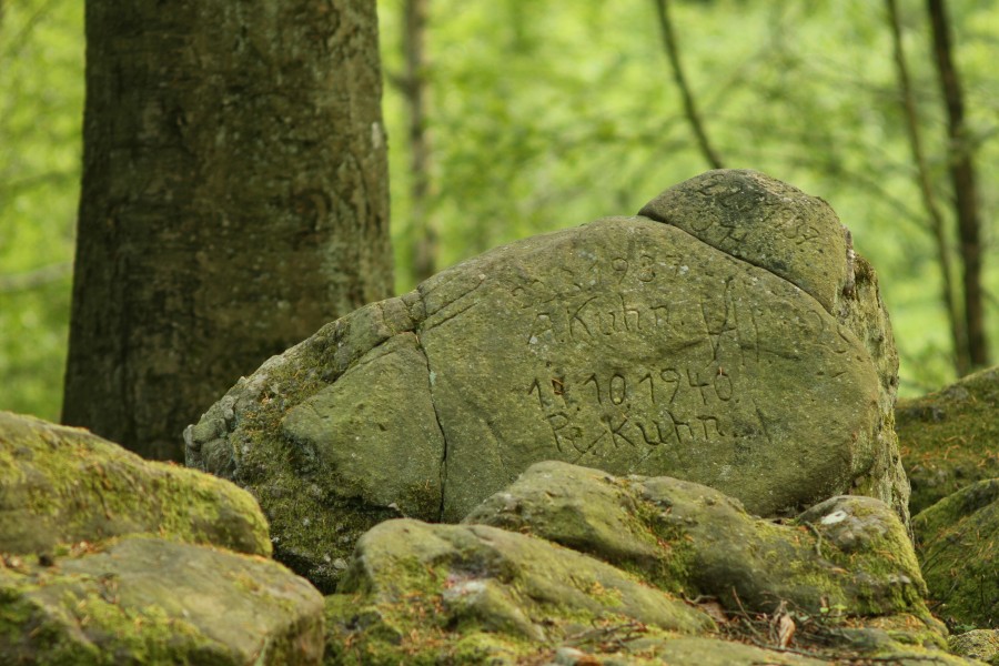 ND-086-NK-EPP - Steinrausche - Konglomerat