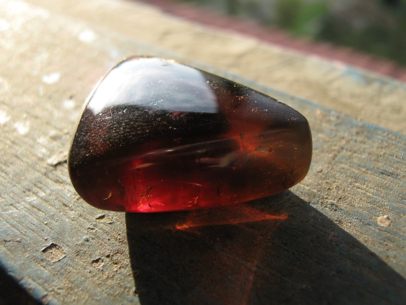 Polished Borneo amber from Sabah