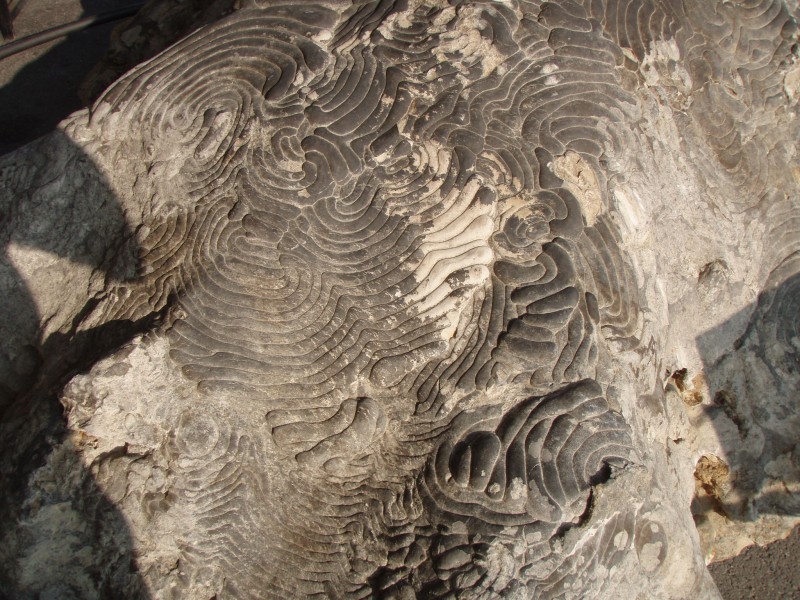Rätselstein von Westerstetten (4)