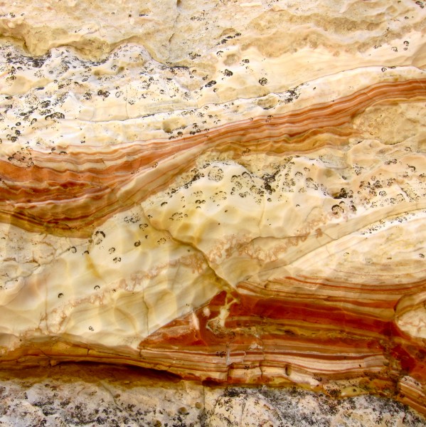 Reef Rock 5