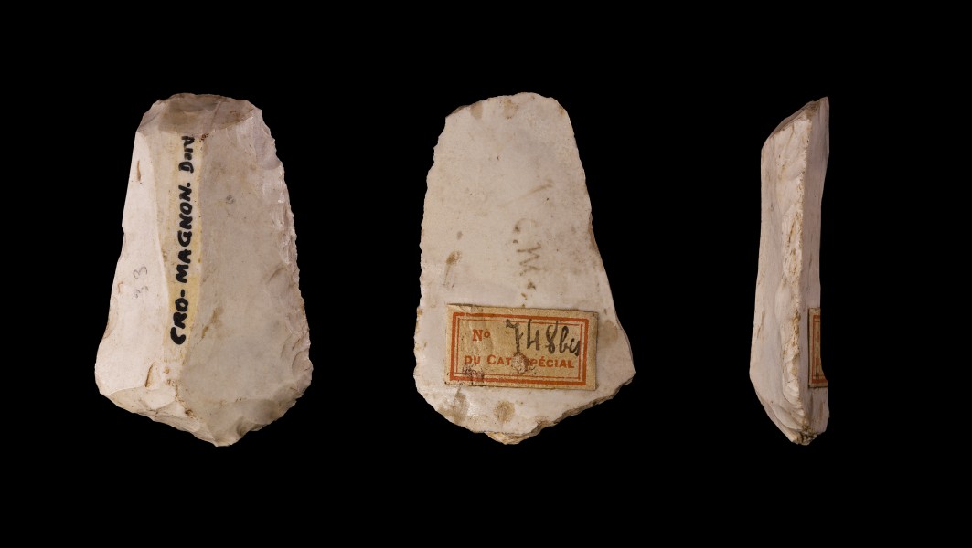 Silex cromagnon noir
