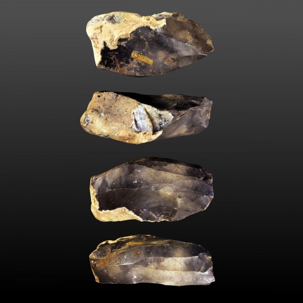 Silex IMG 1639-gradient