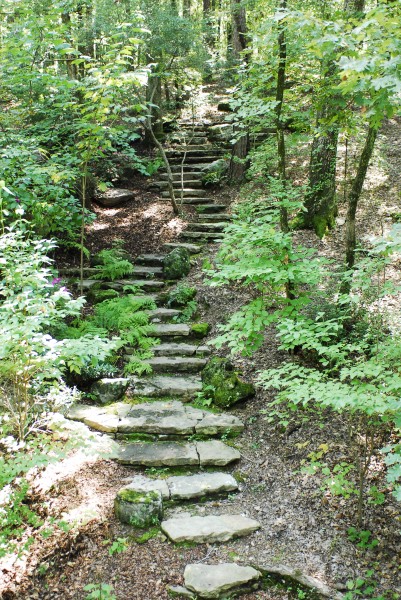 Stone steps in the woods