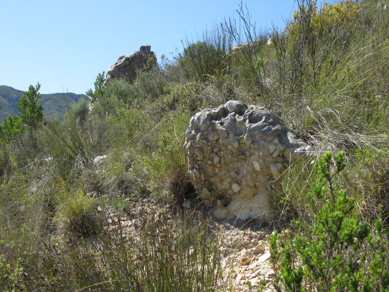 Uniondale Conglomerate 1519 