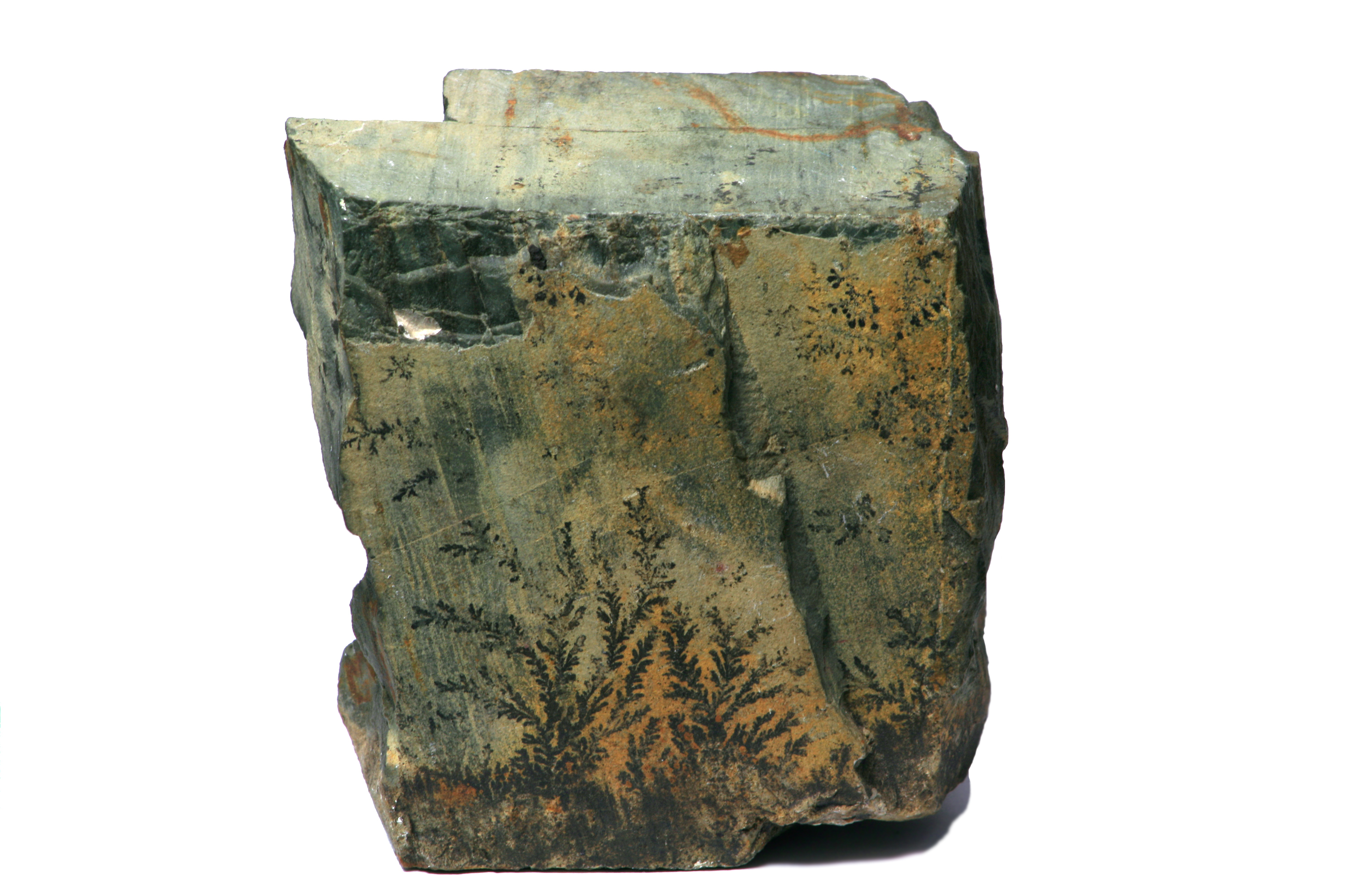 Pyrolusite Mineral with Dendrite Macro Digon3