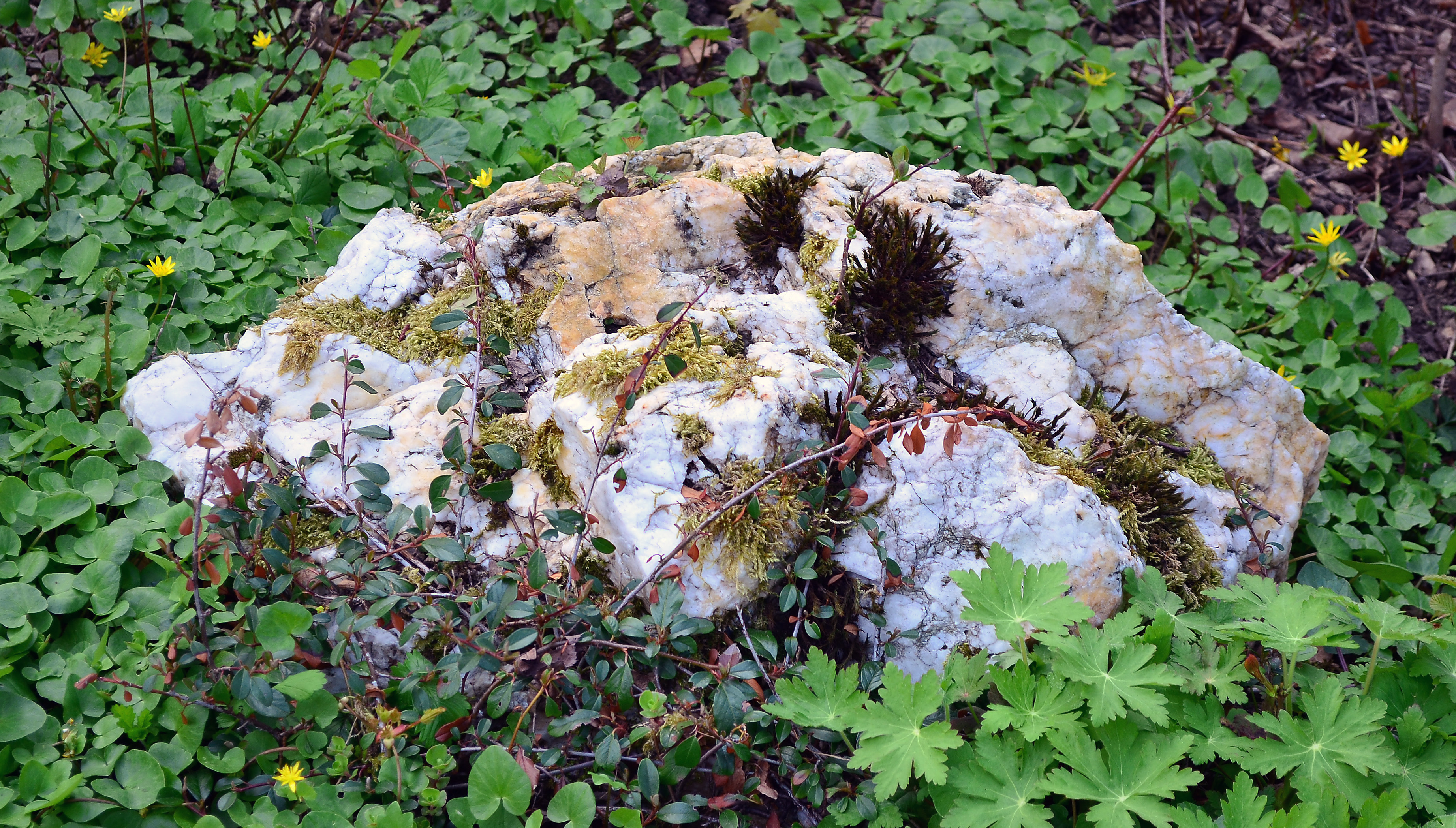Quarz, Brilon, Kurpark, Germany