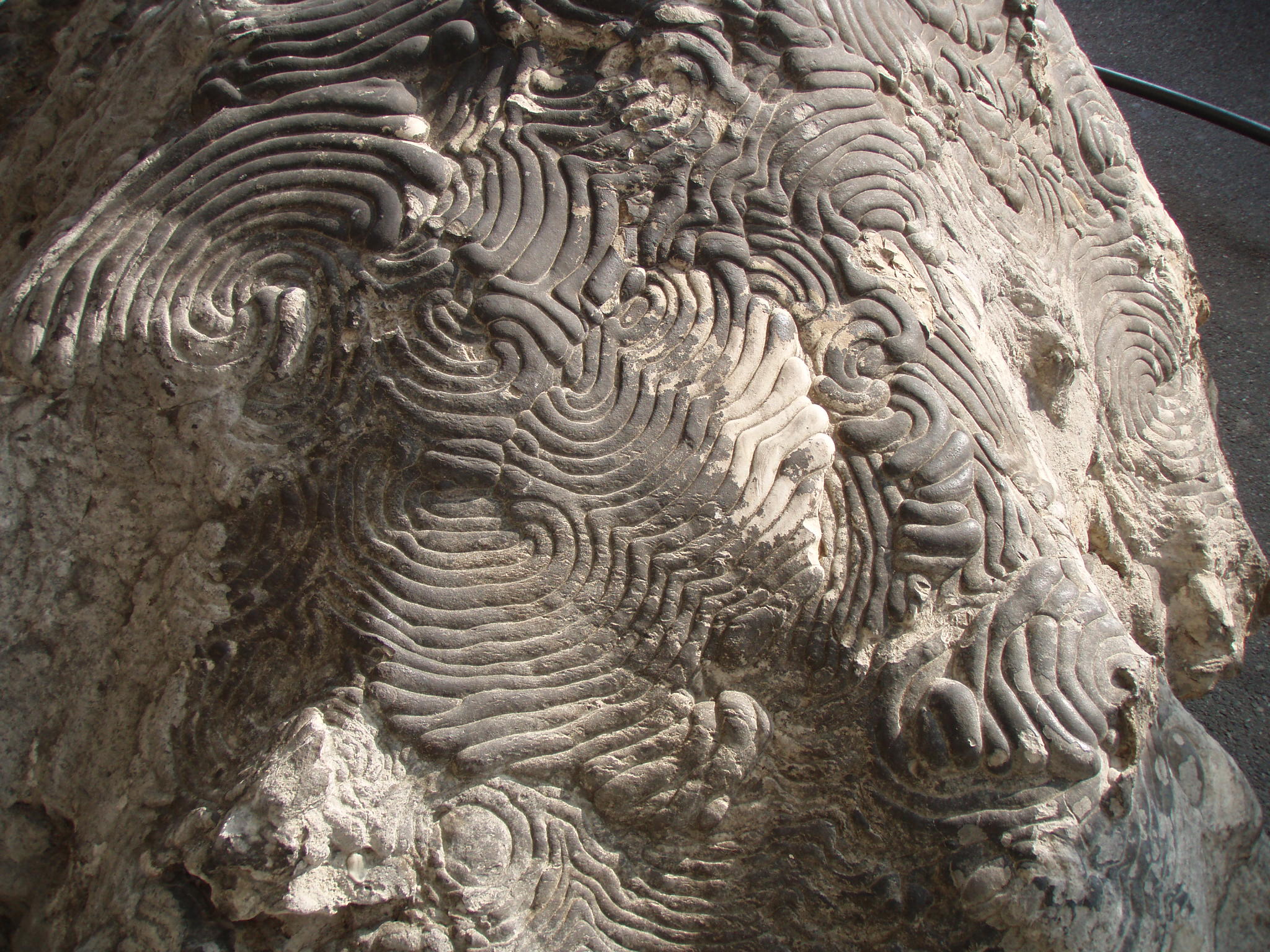Rätselstein von Westerstetten (2)