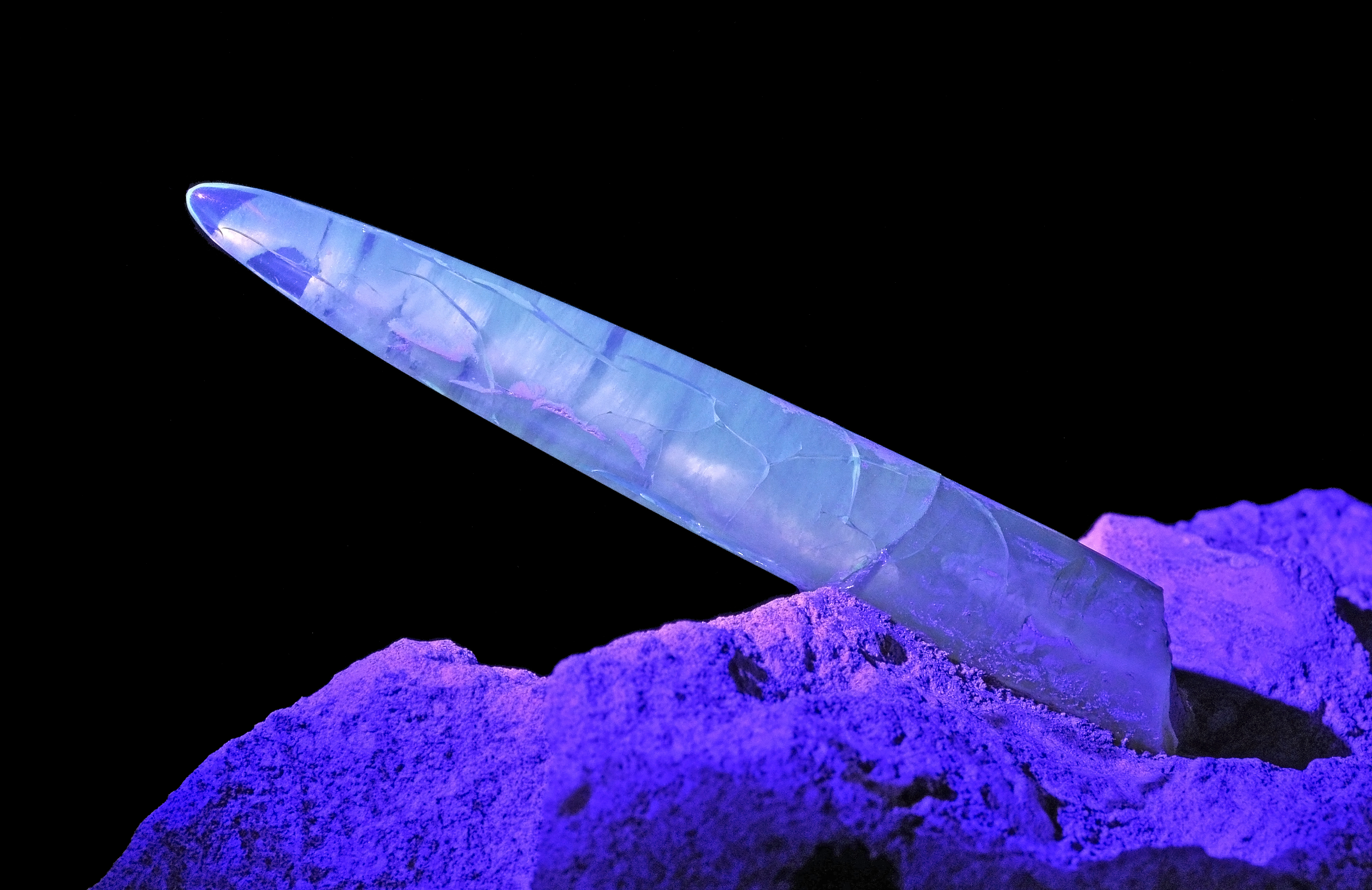 Rostre de bélemnite sous UV (Australie) 2 
