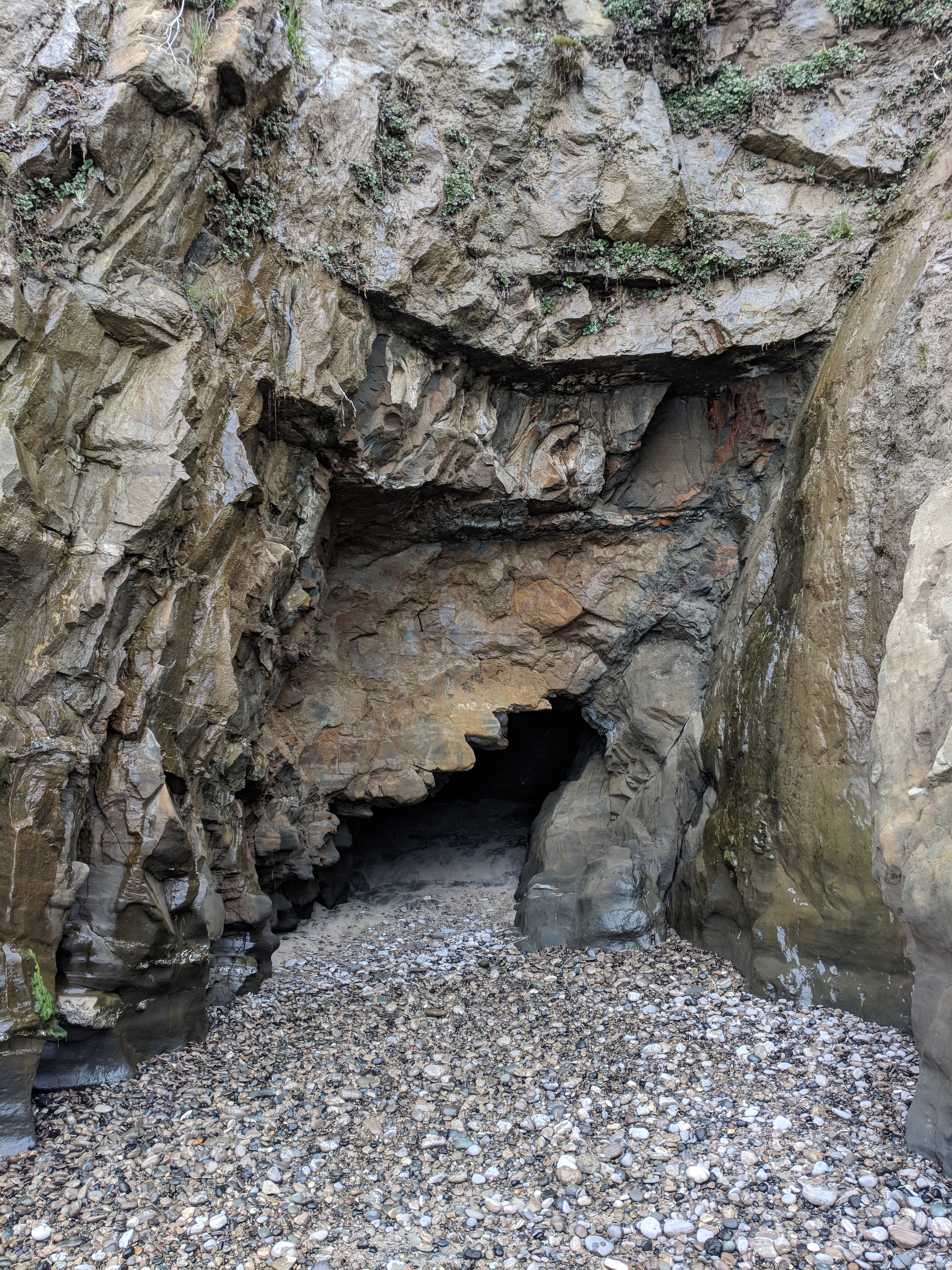 Sawtoothed beach cave at Año Nuevo State Park