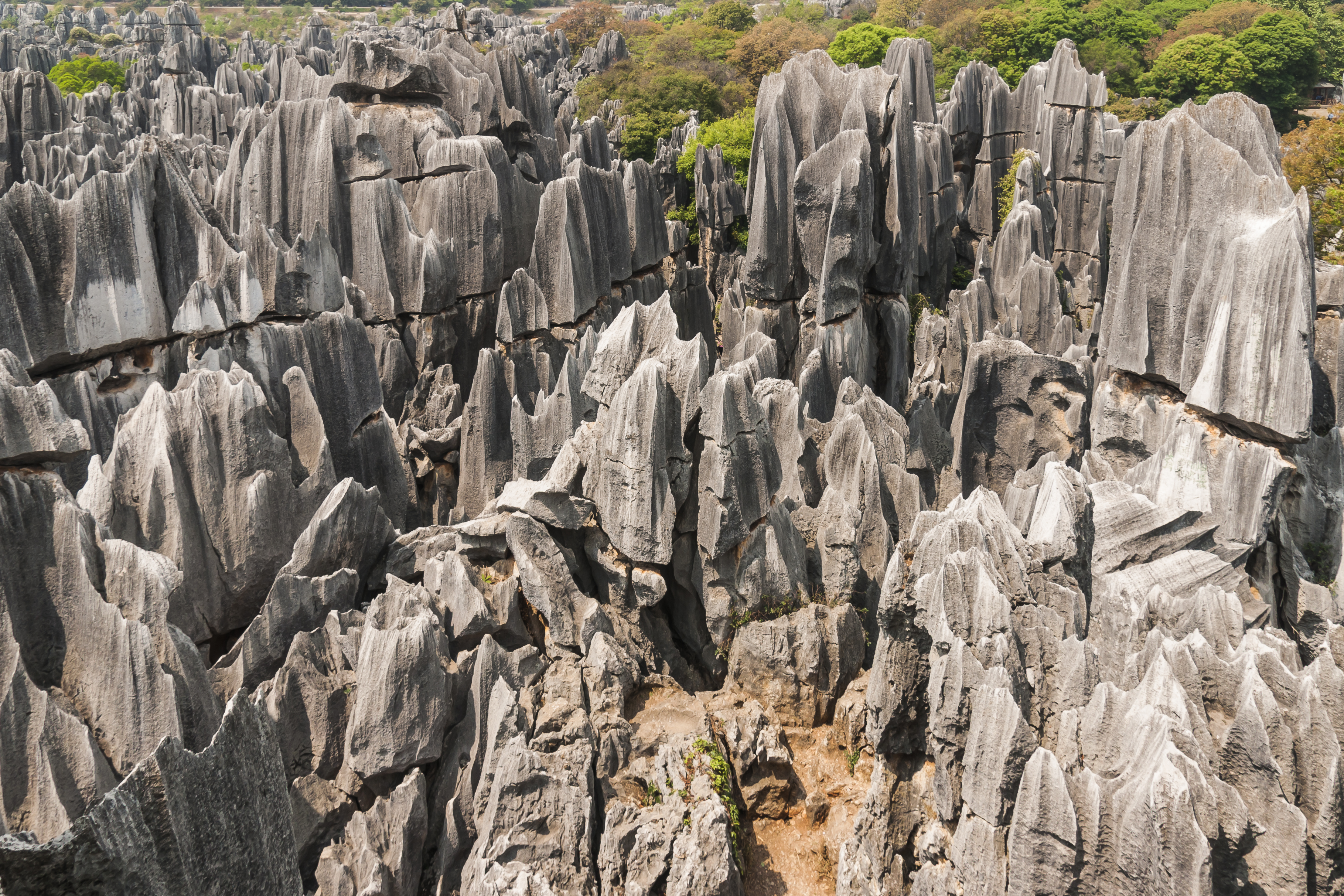 Shilin Yunnan China Shilin-Stone-Forest-03