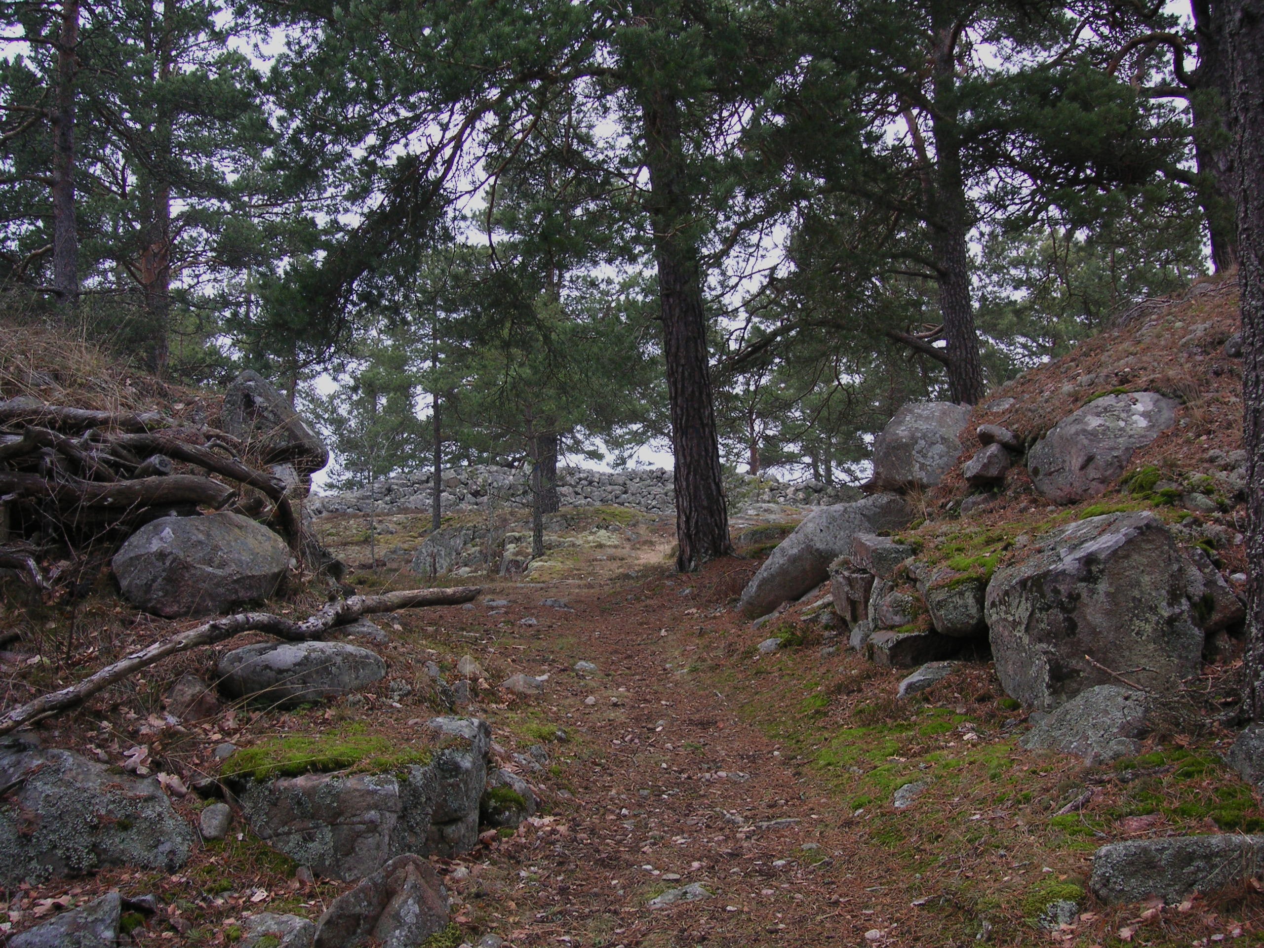 Skansberget 2008a