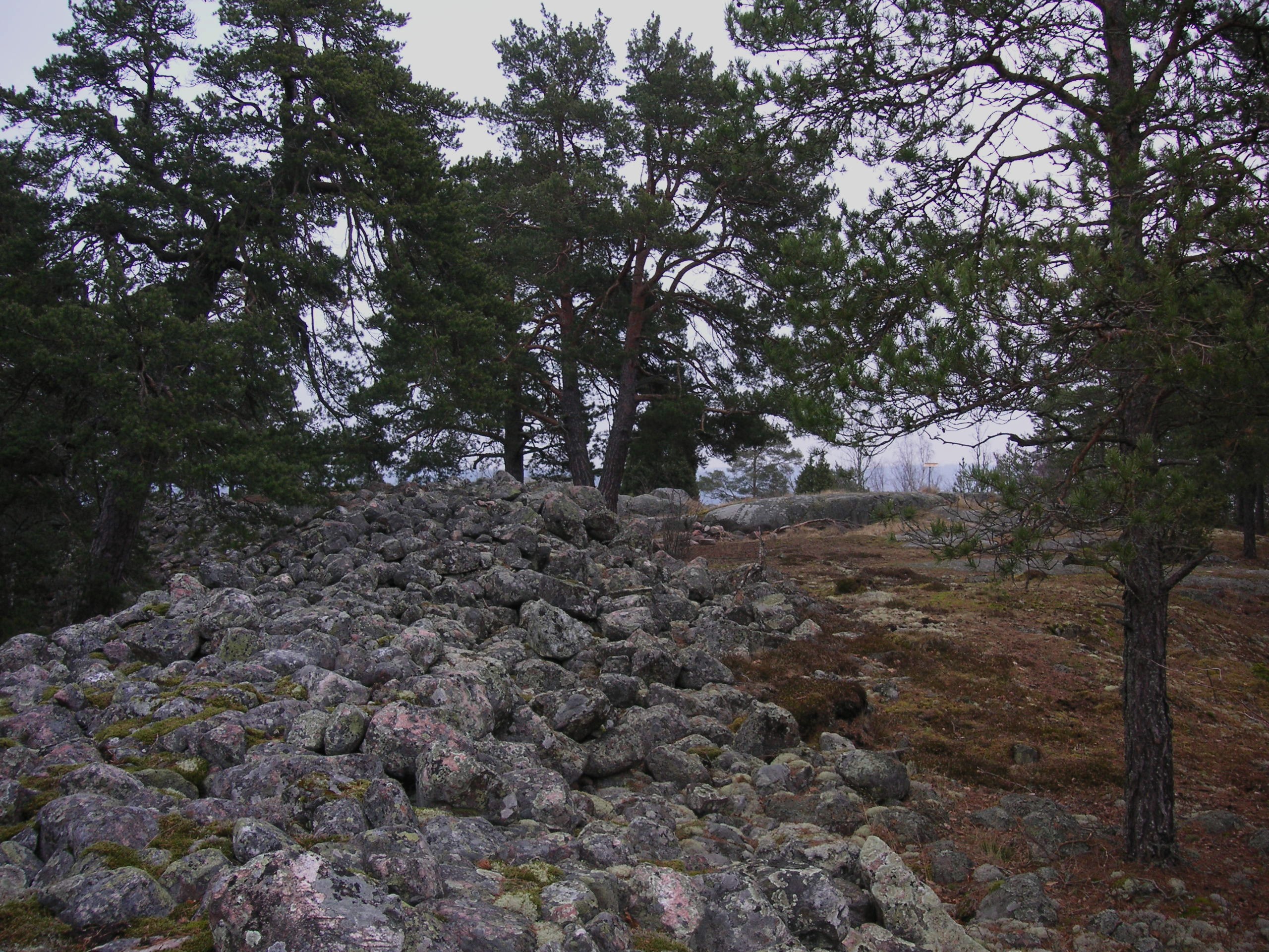 Skansberget 2008b