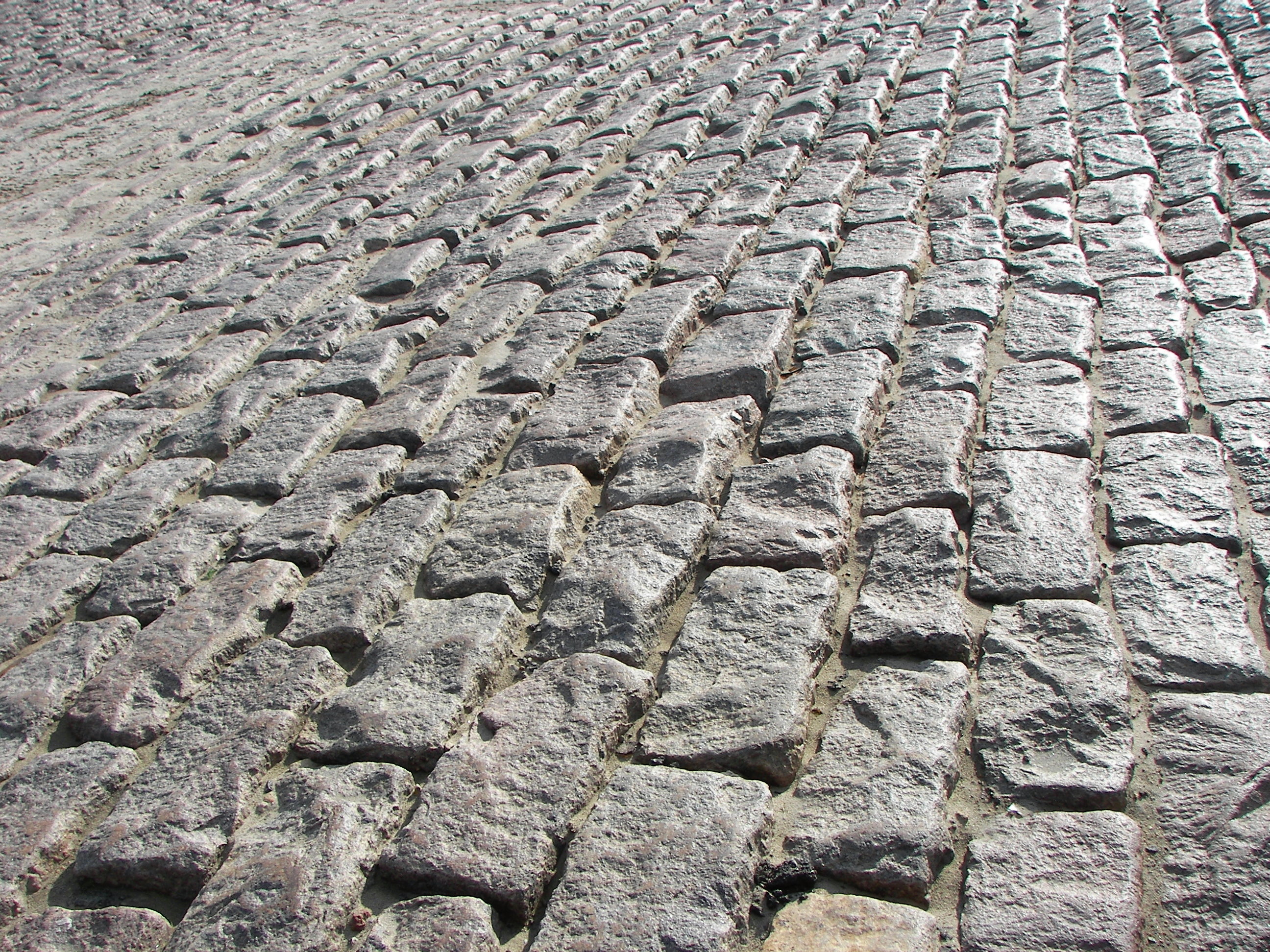 St. Louis wharf cobbles 20090121 2