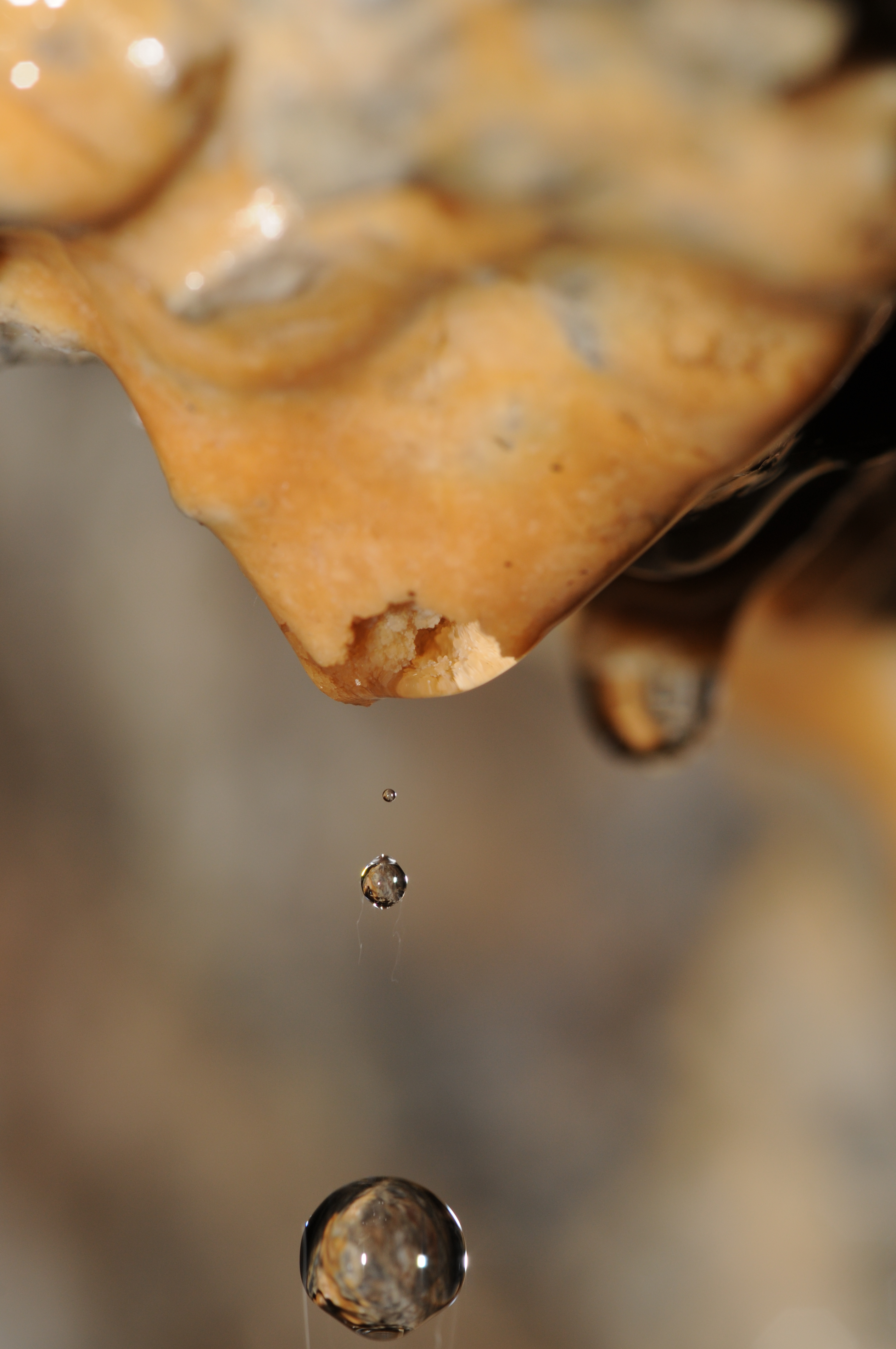Thomas Bresson - Stalactite-5 (by)
