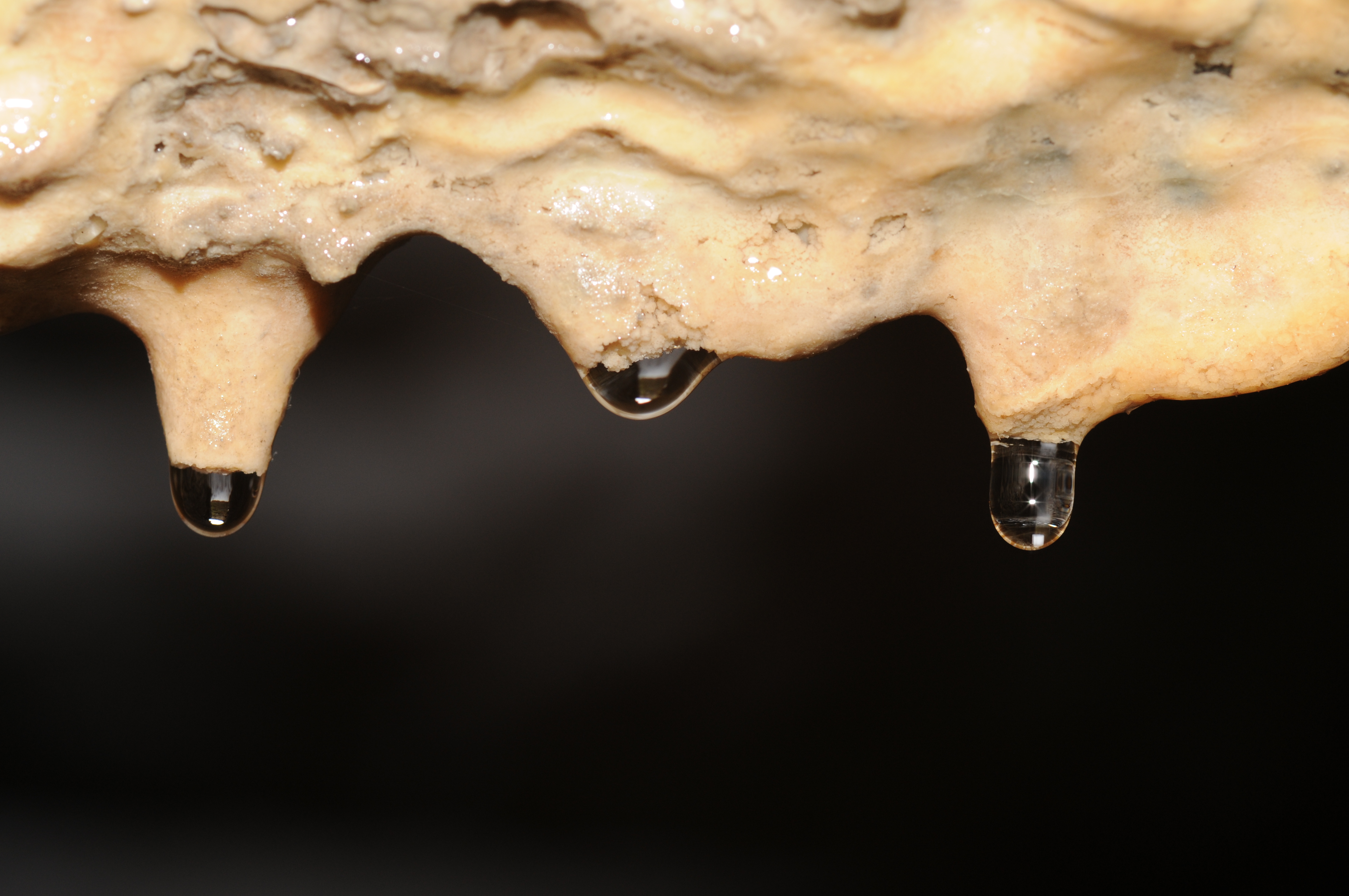 Thomas Bresson - Stalactite at the Salbert hill fortifications (by)