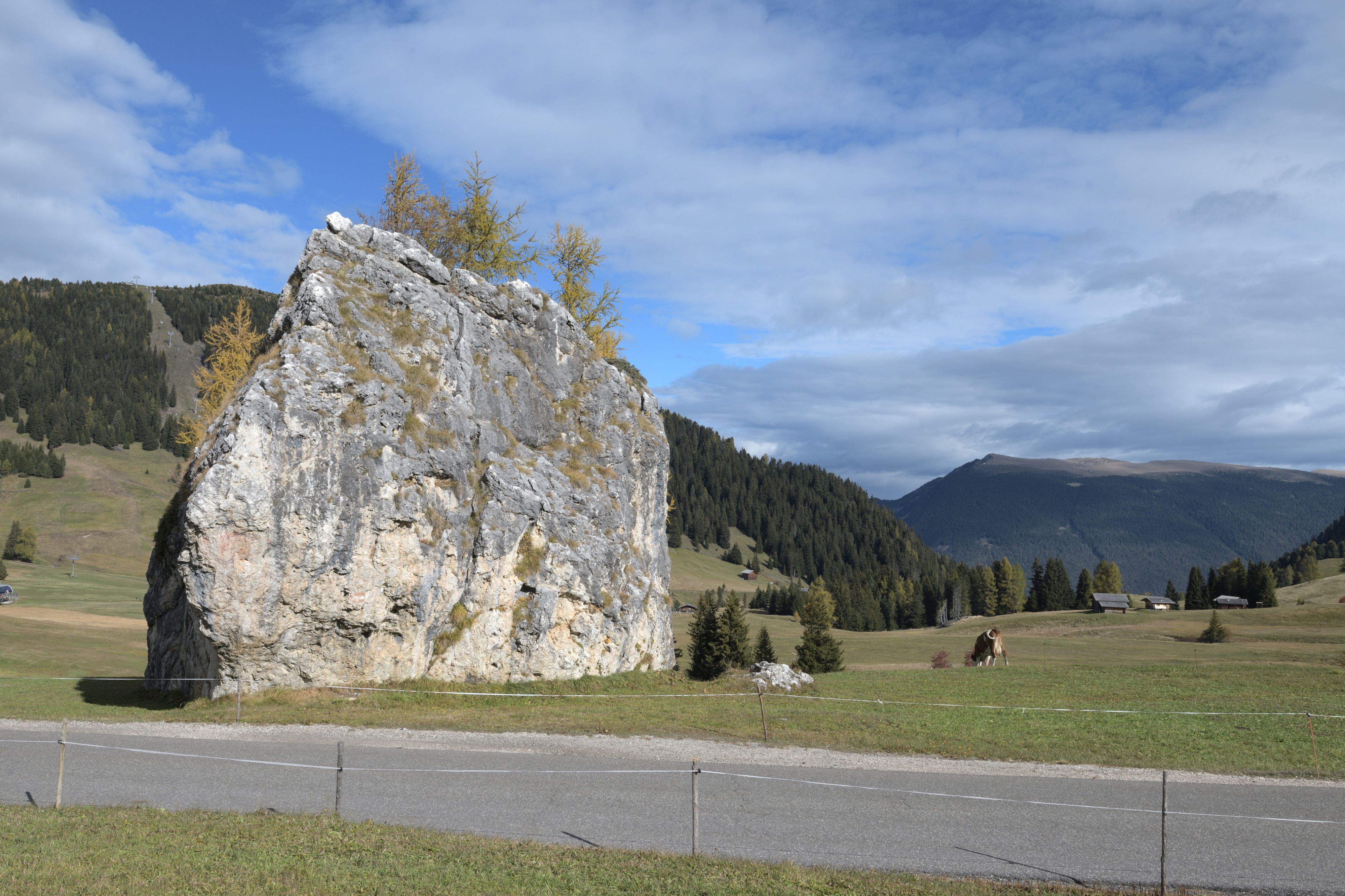 Erratischer Dolomit-Block Cionstoan Seiseralm 2017 Raschötz