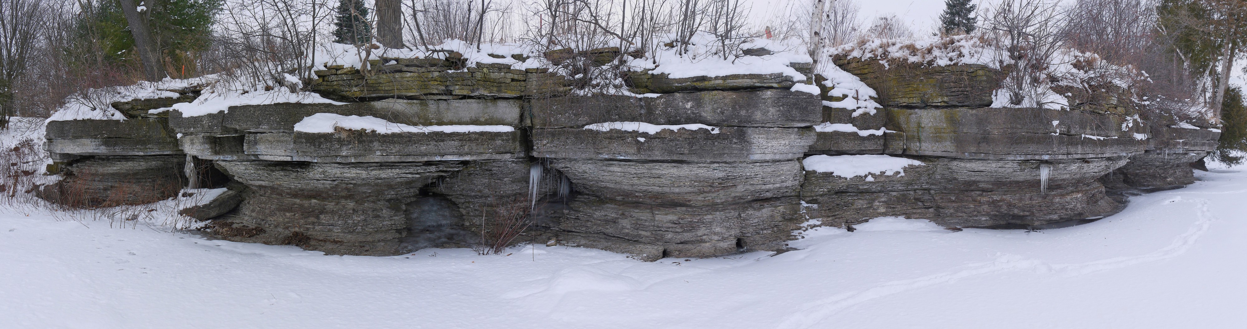 Gull River formation