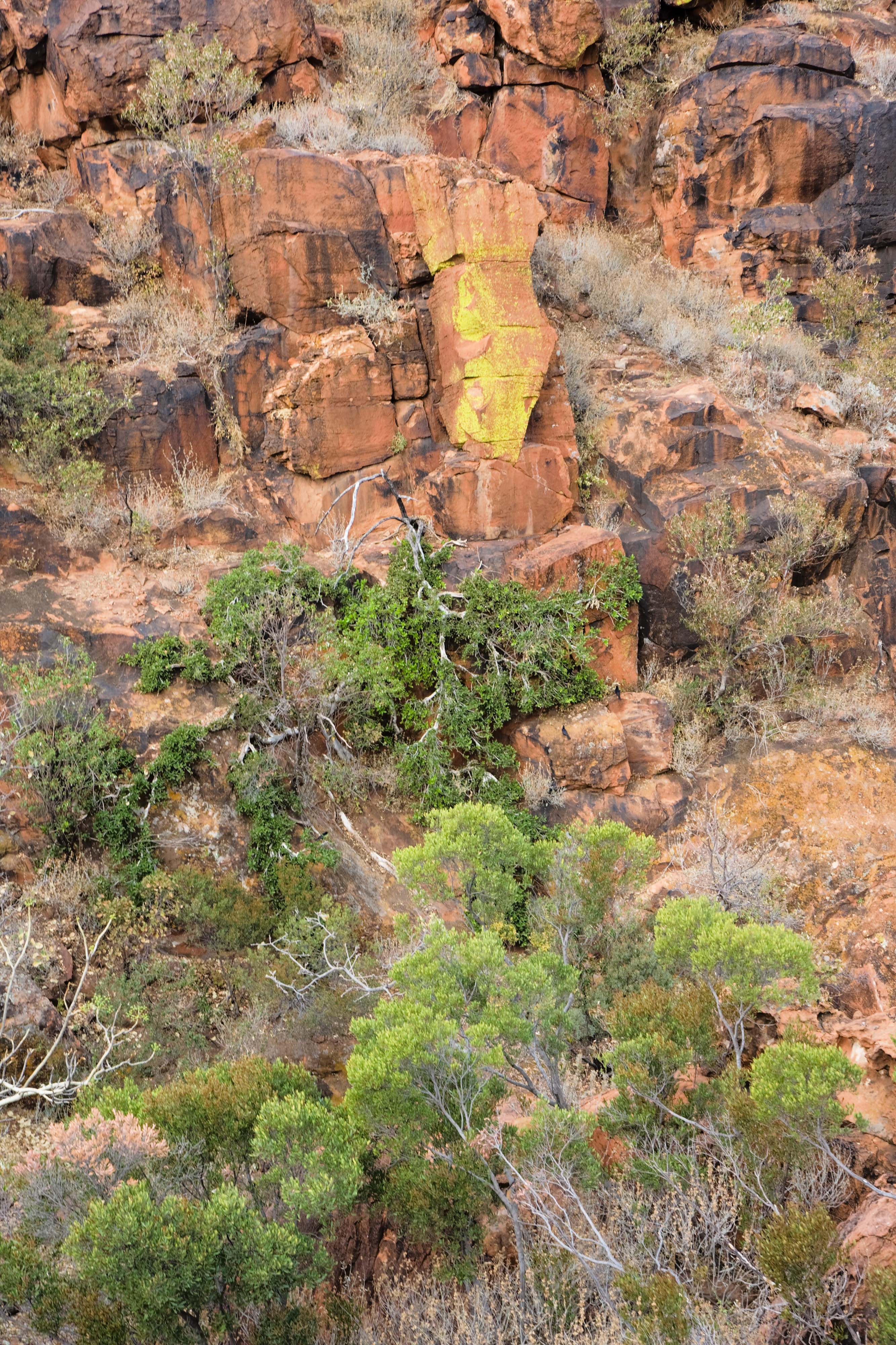Waterberg Fels