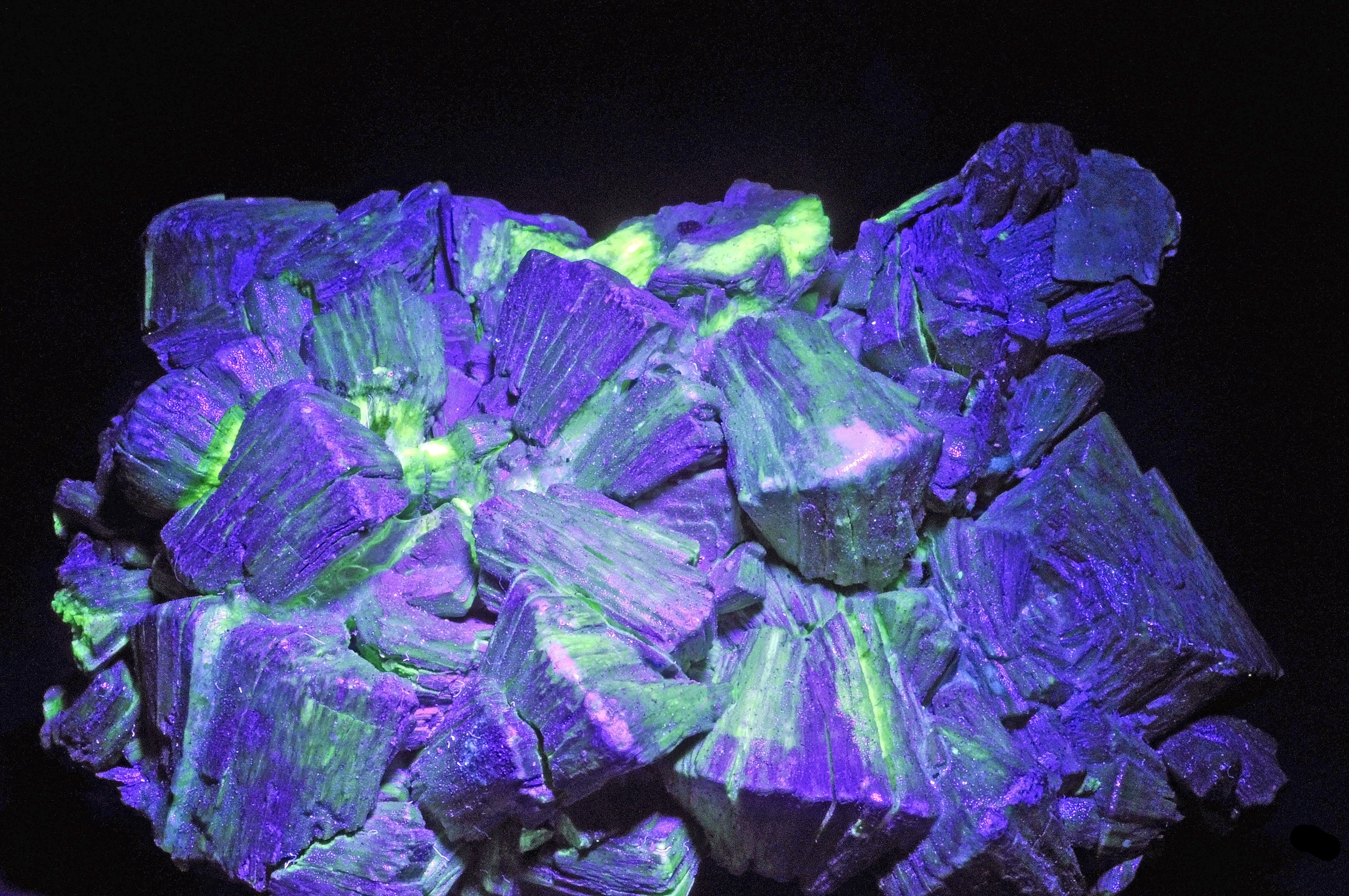Tobernite = chalcolite sous UV (France) 