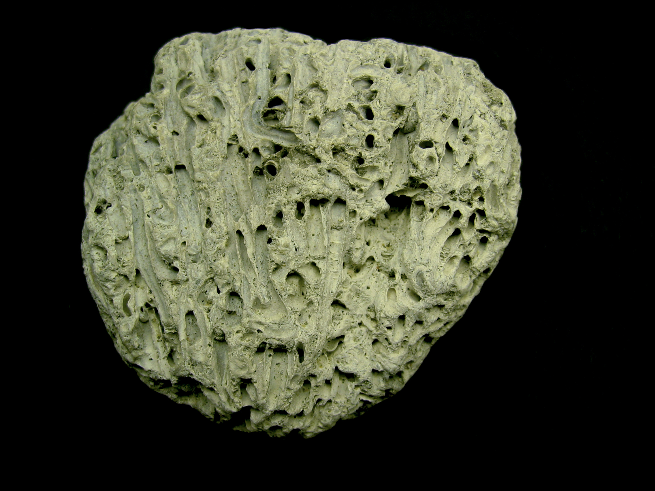 Unknown white rock Macro 1