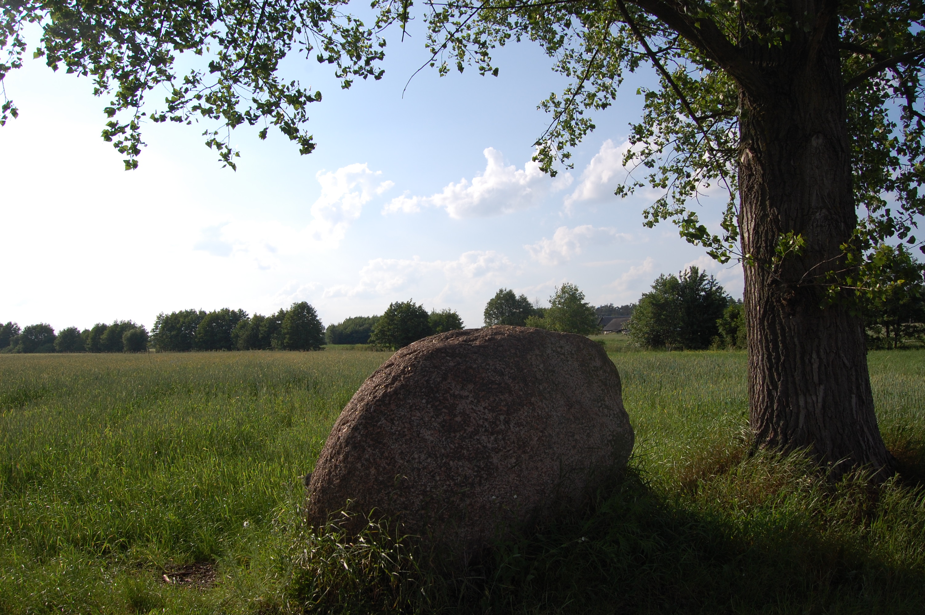 Wilczyn - głaz narzutowy