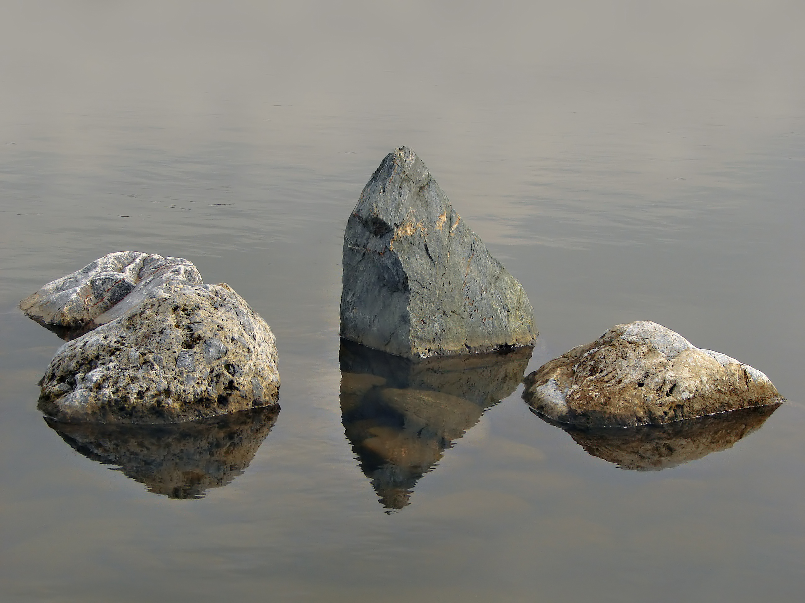 Zen 07289 nevit