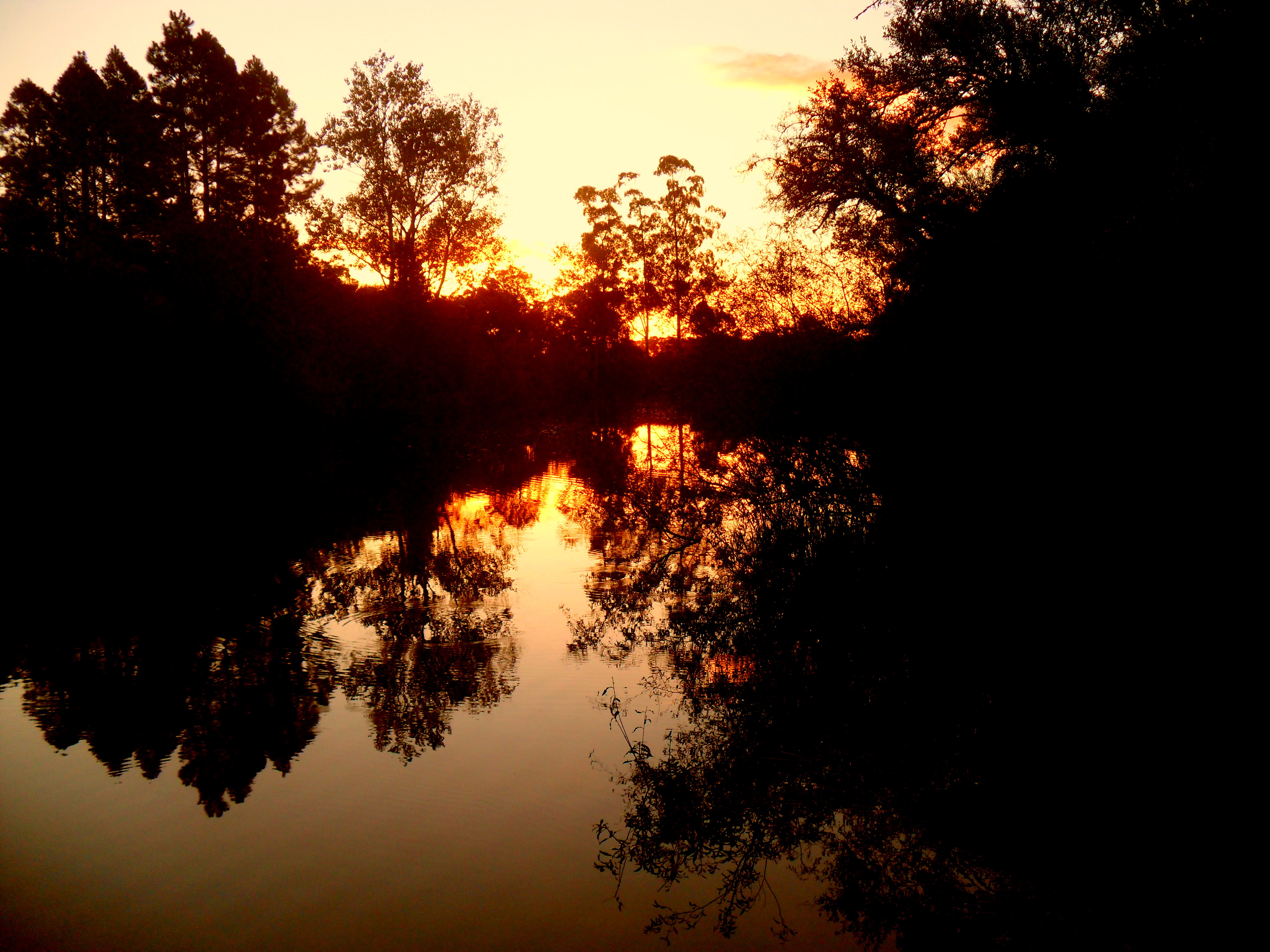 Arroyo de Fraile Muerto