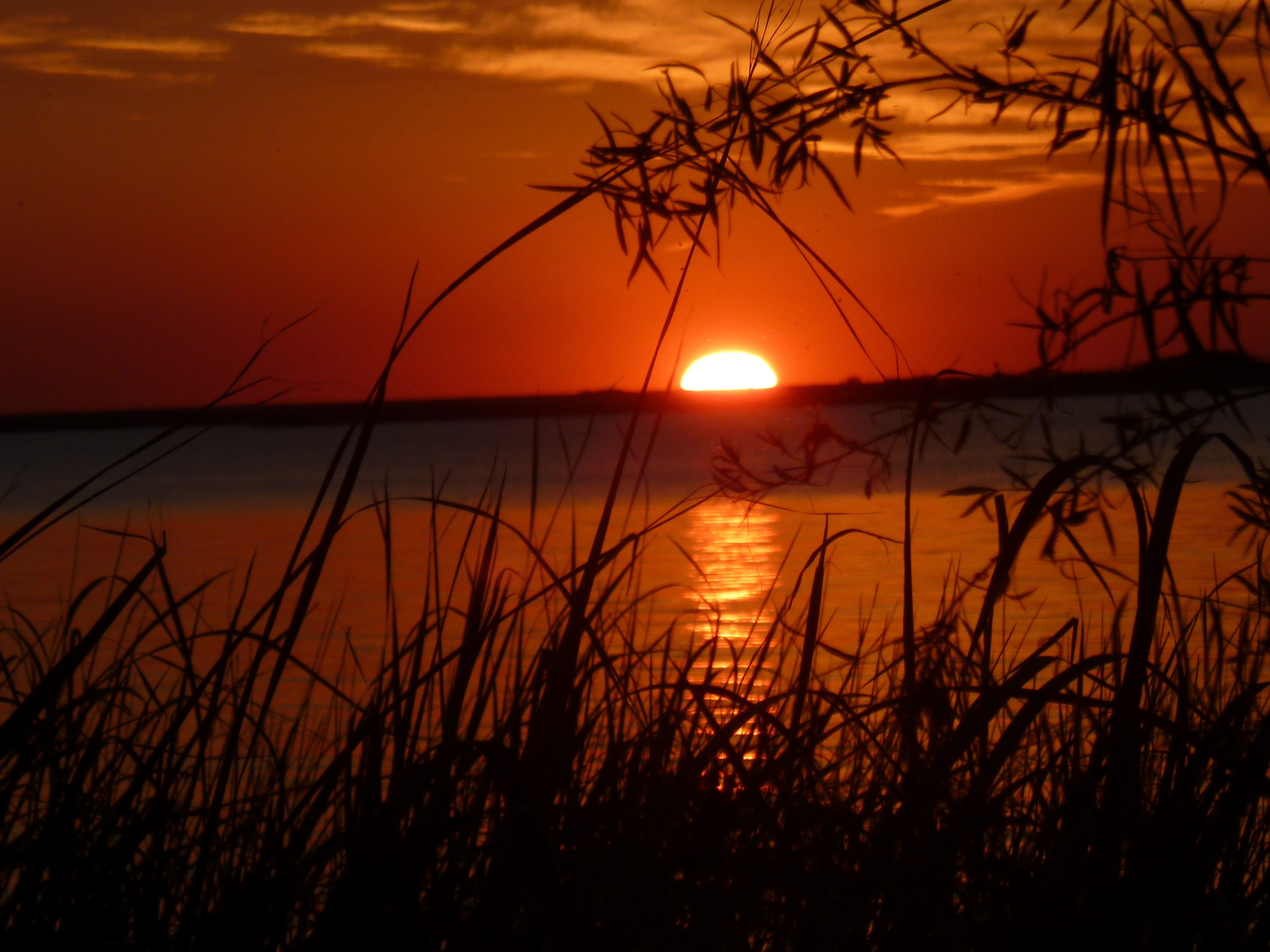 ATARDECER DEL IBERA 3