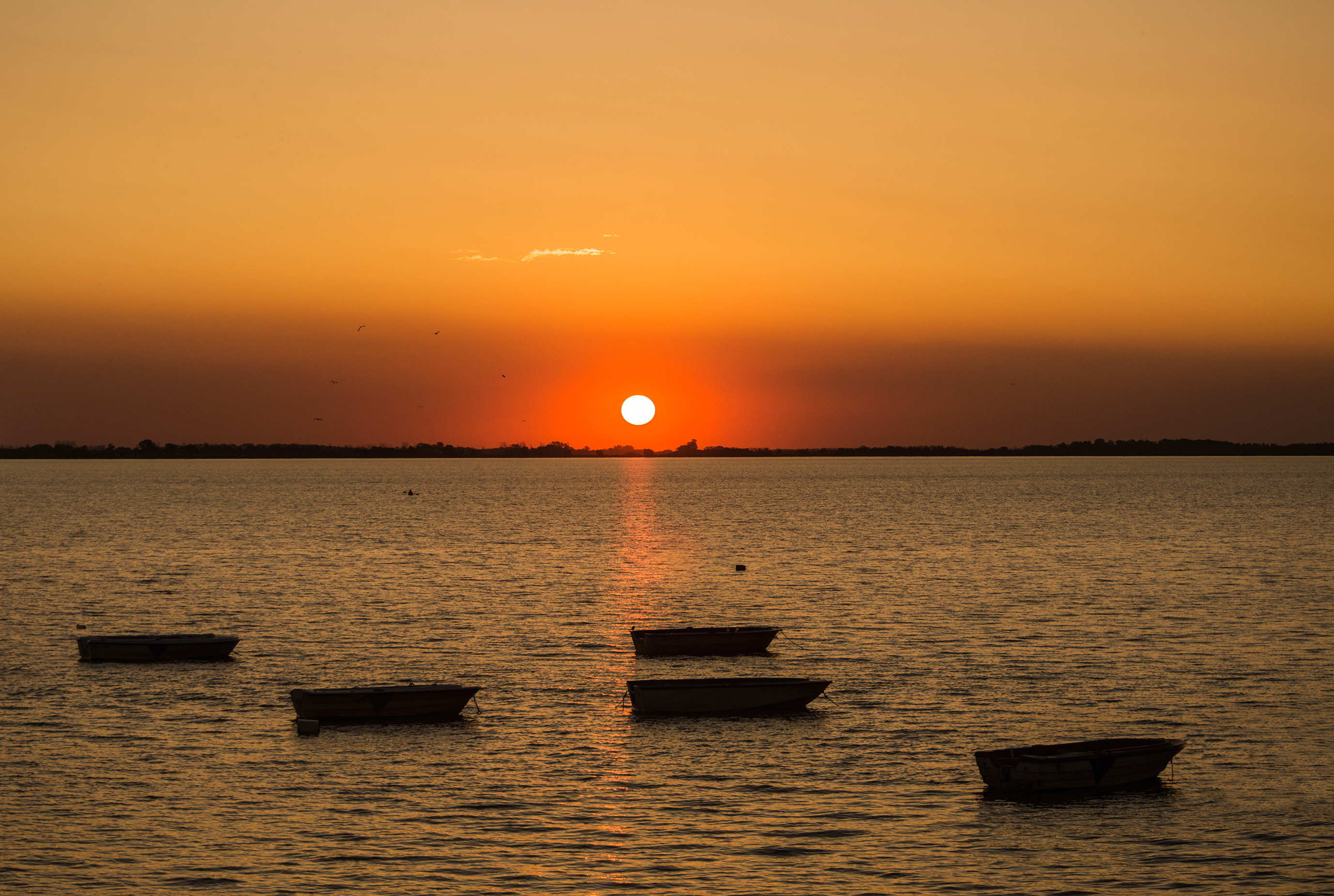 Atardecer en Chascomús 1