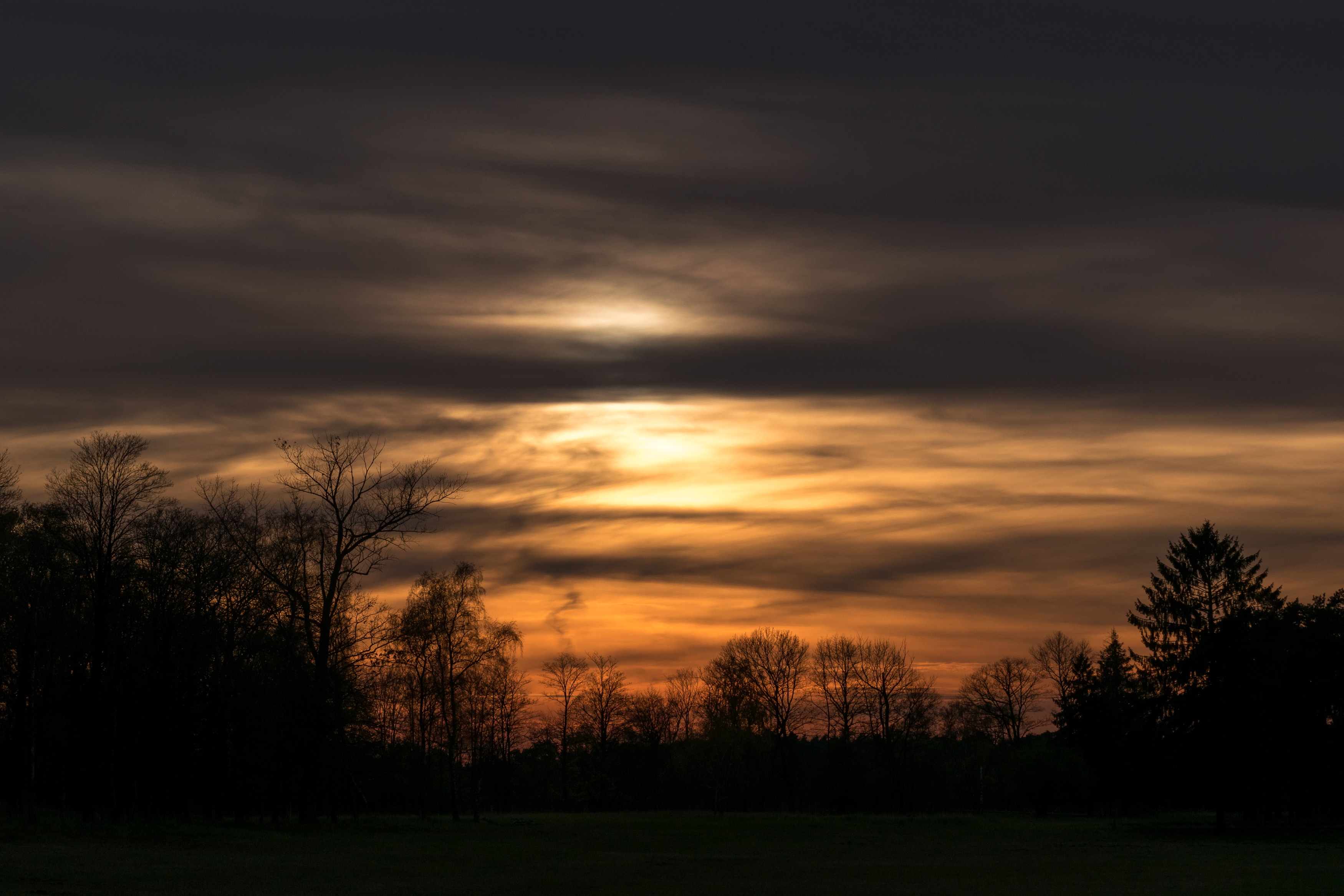 Augustdorf - 2015-11-08 - Sonnenuntergang Senne (04)