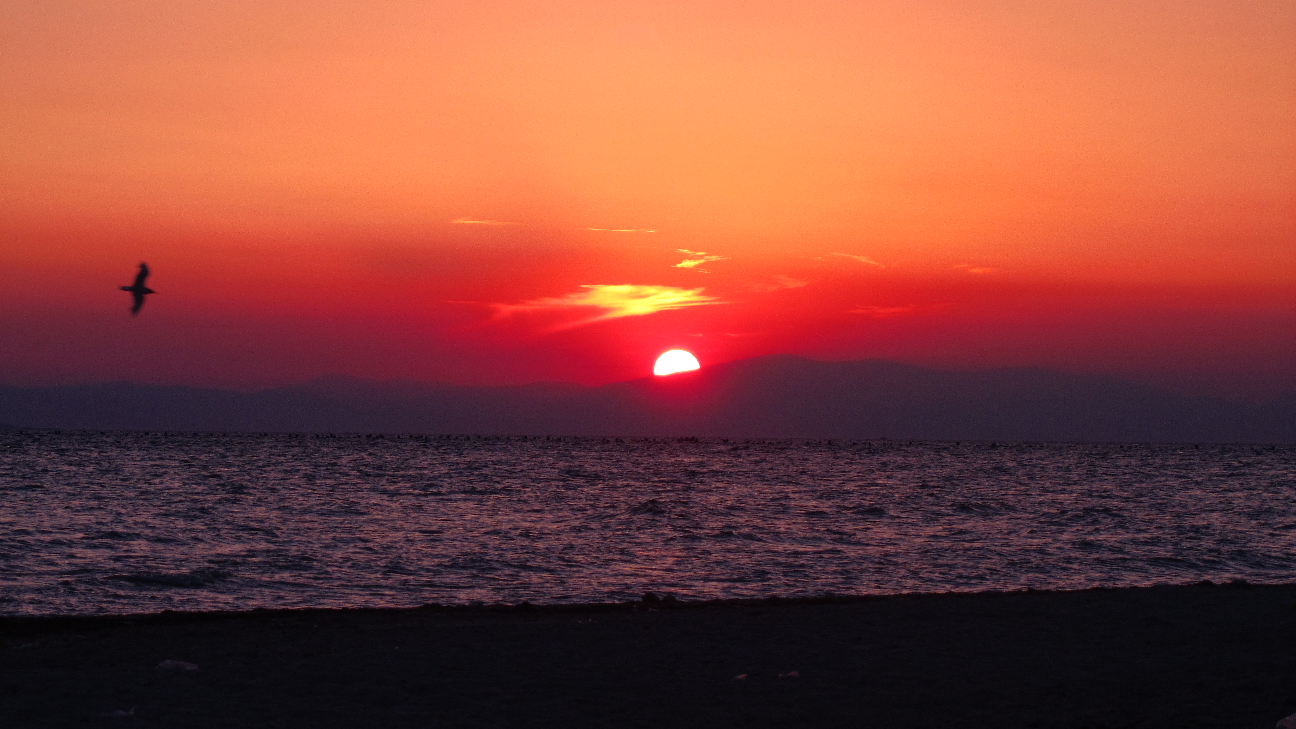 EPANOMI-SUNSET - panoramio