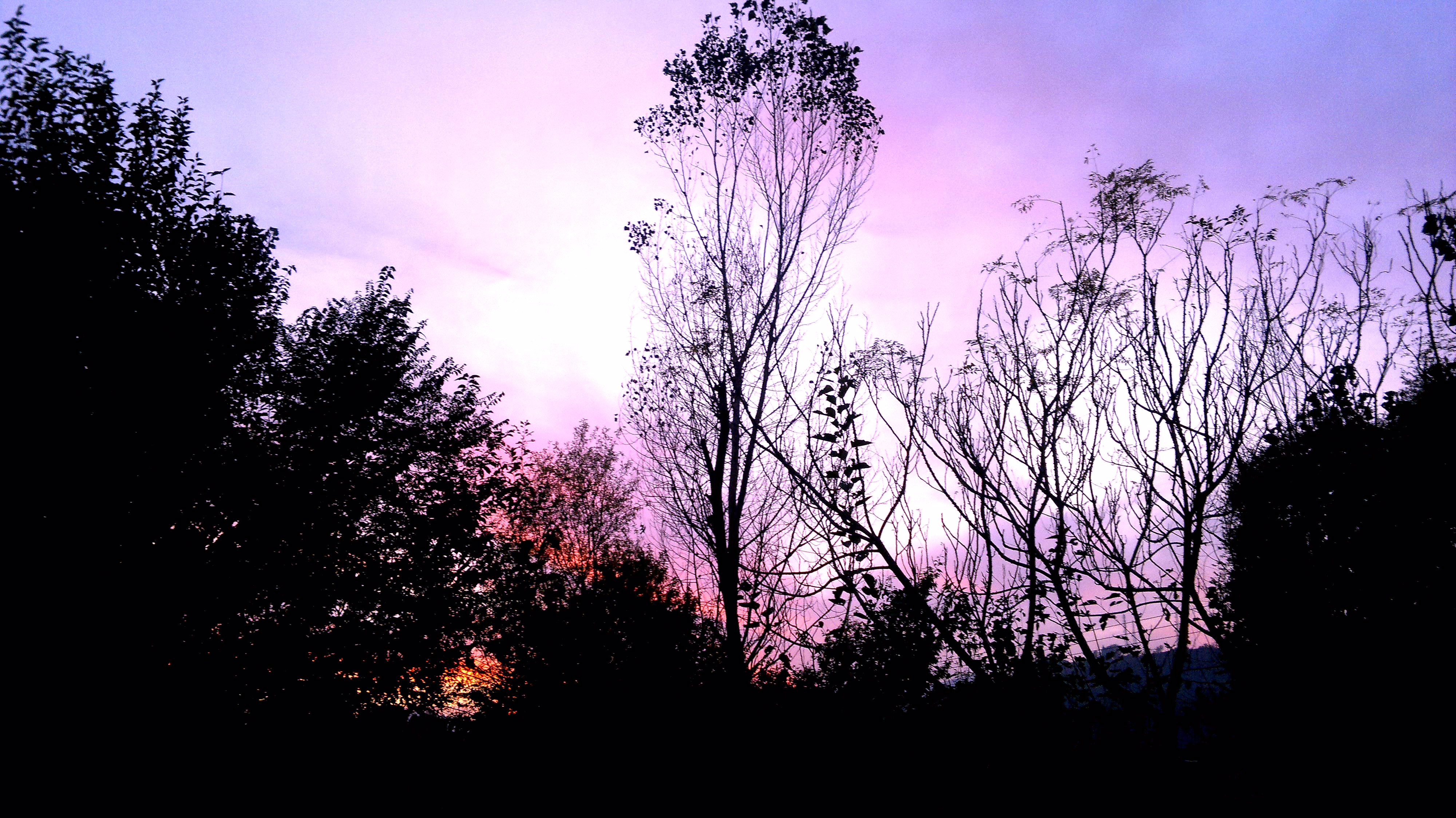 Evening colours