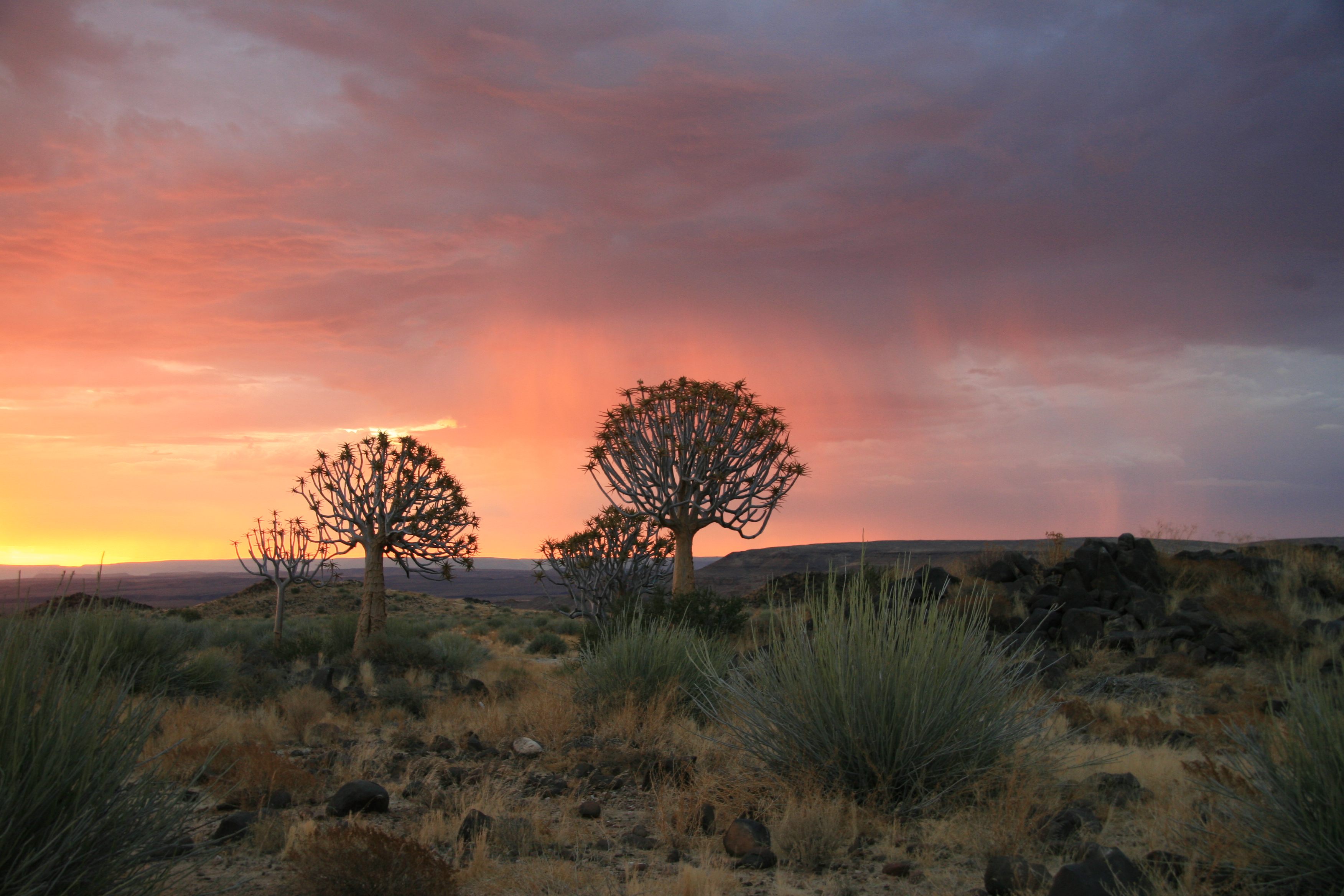Exceptional Sunset
